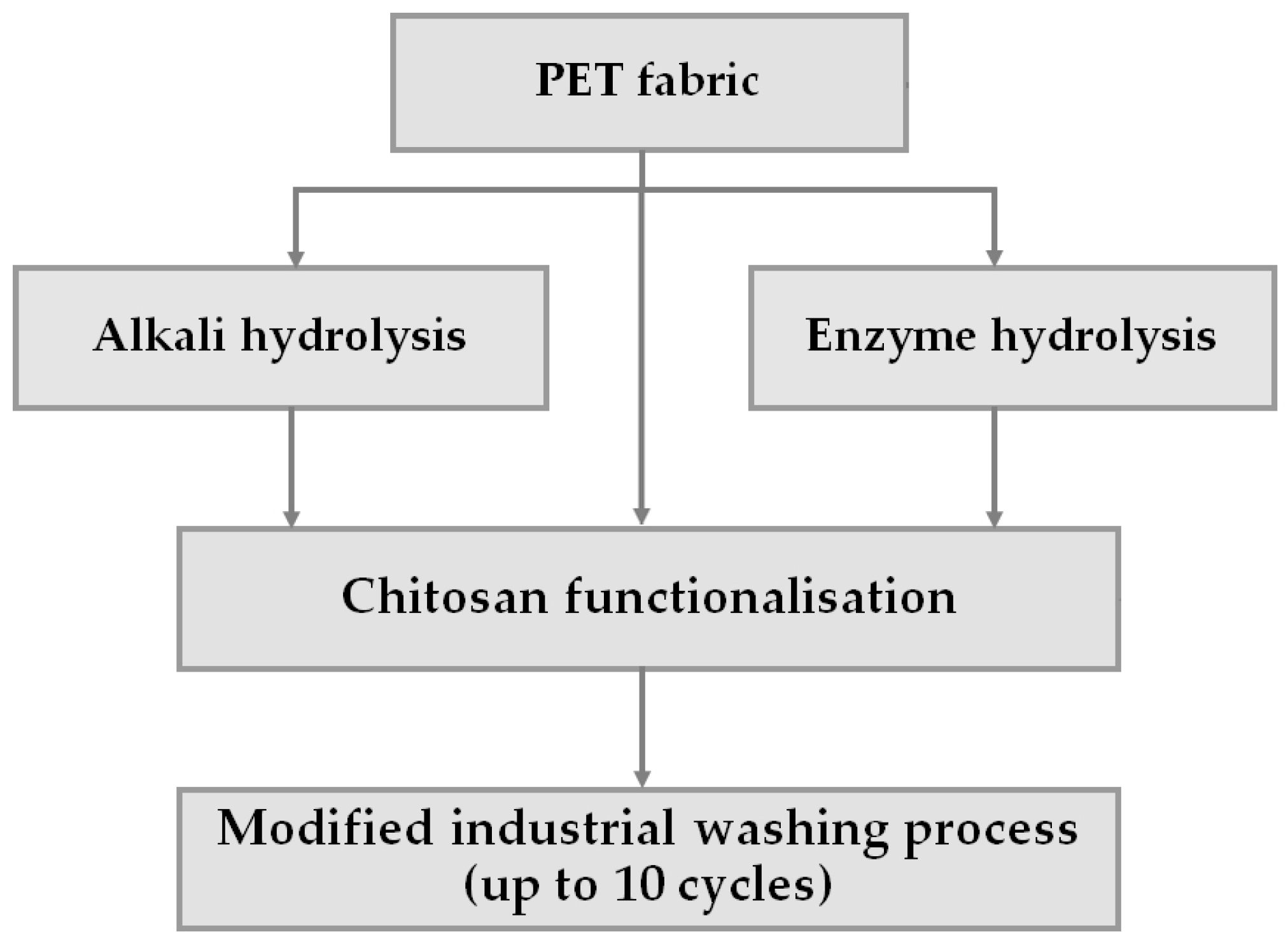 Polymers 16 02532 g003