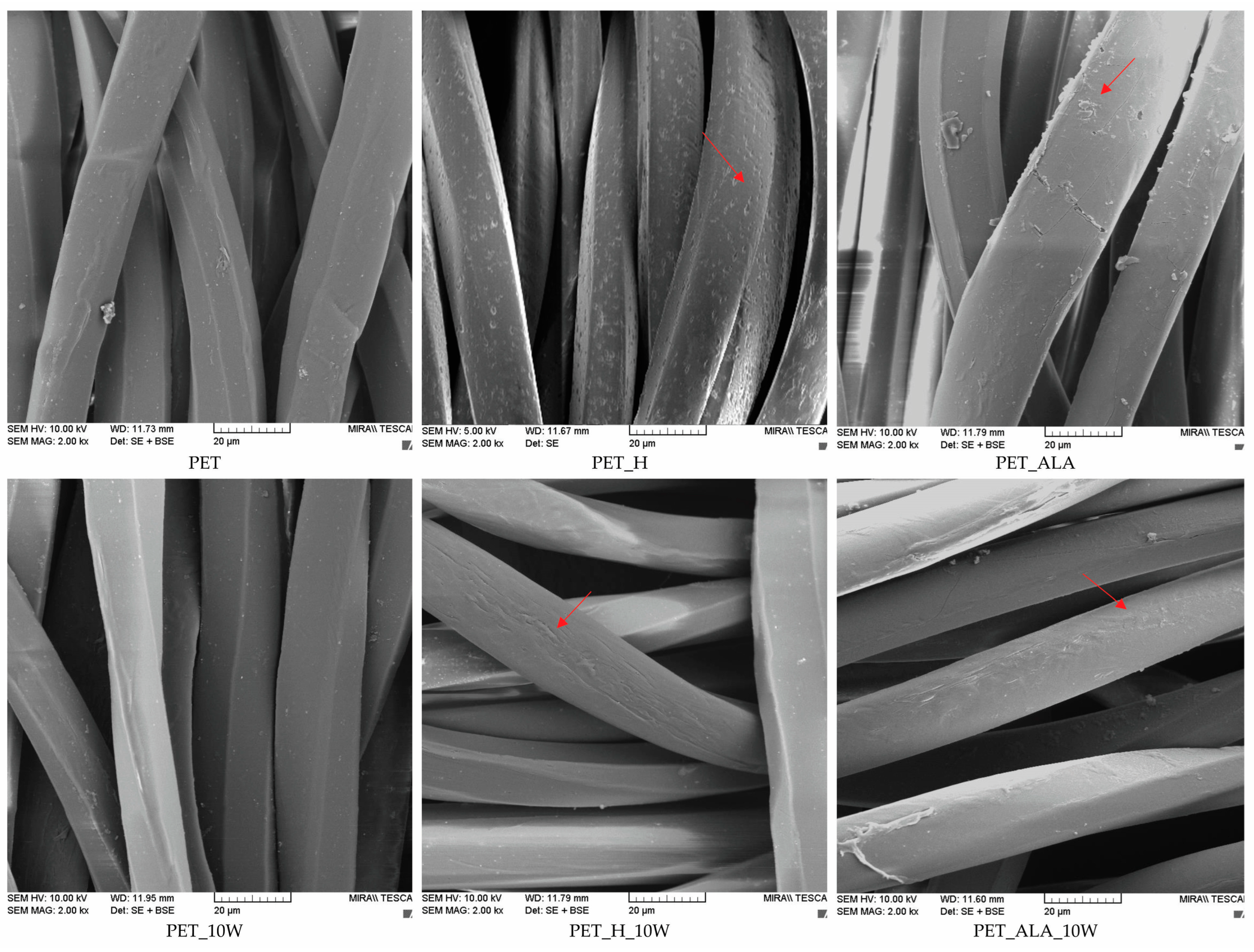Polymers 16 02532 g013