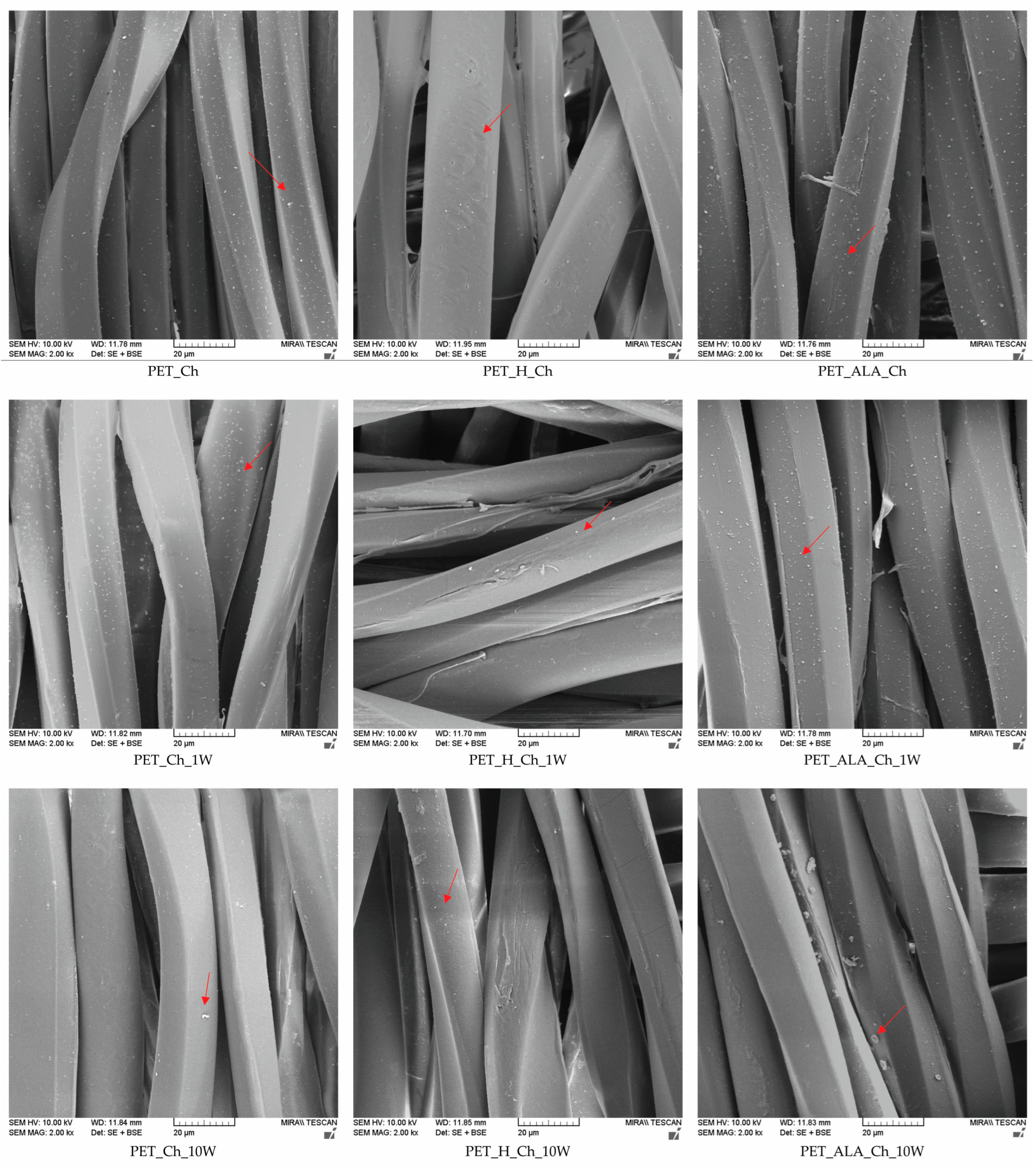 Polymers 16 02532 g014