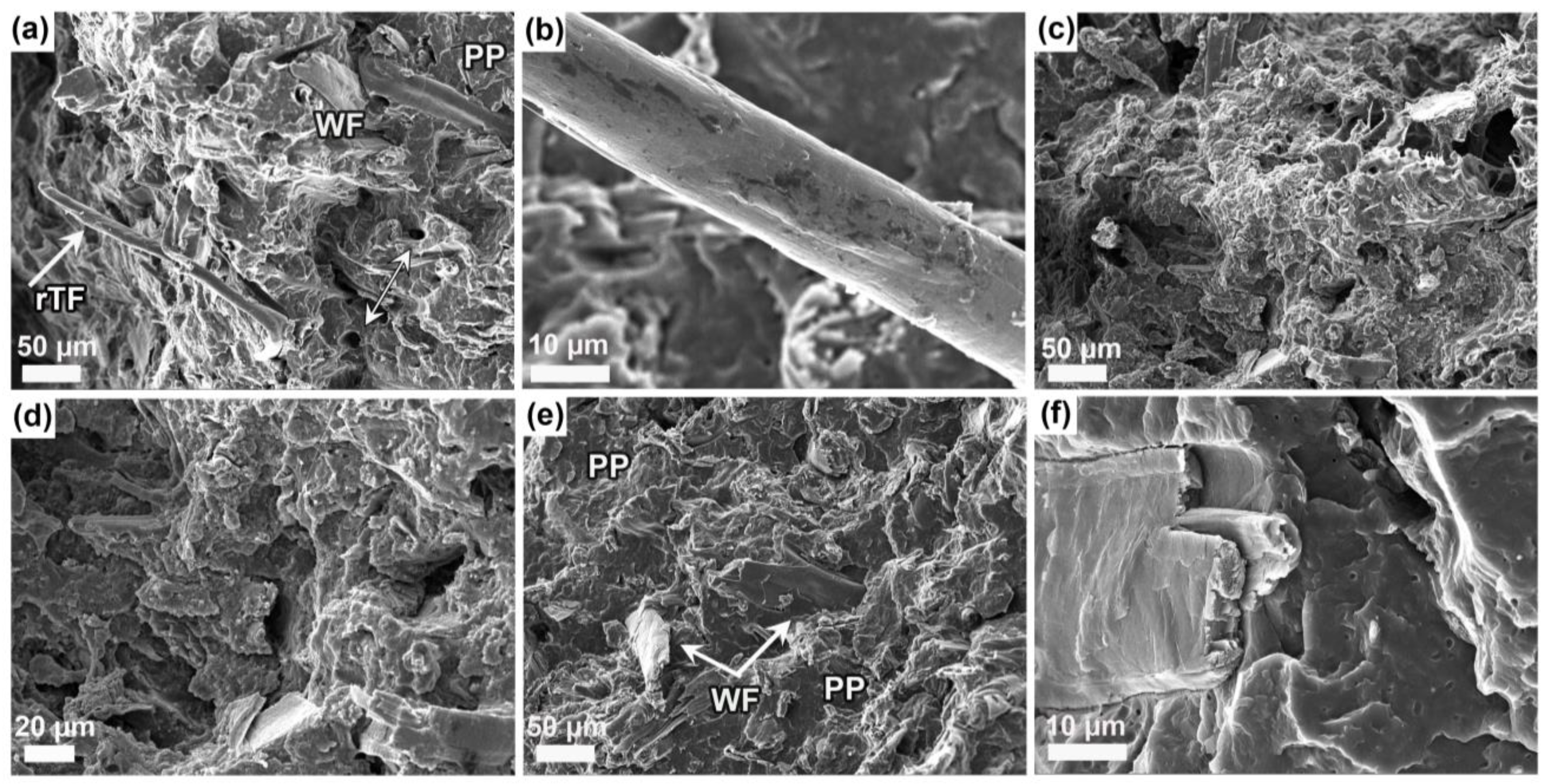 Polymers 16 02549 g005