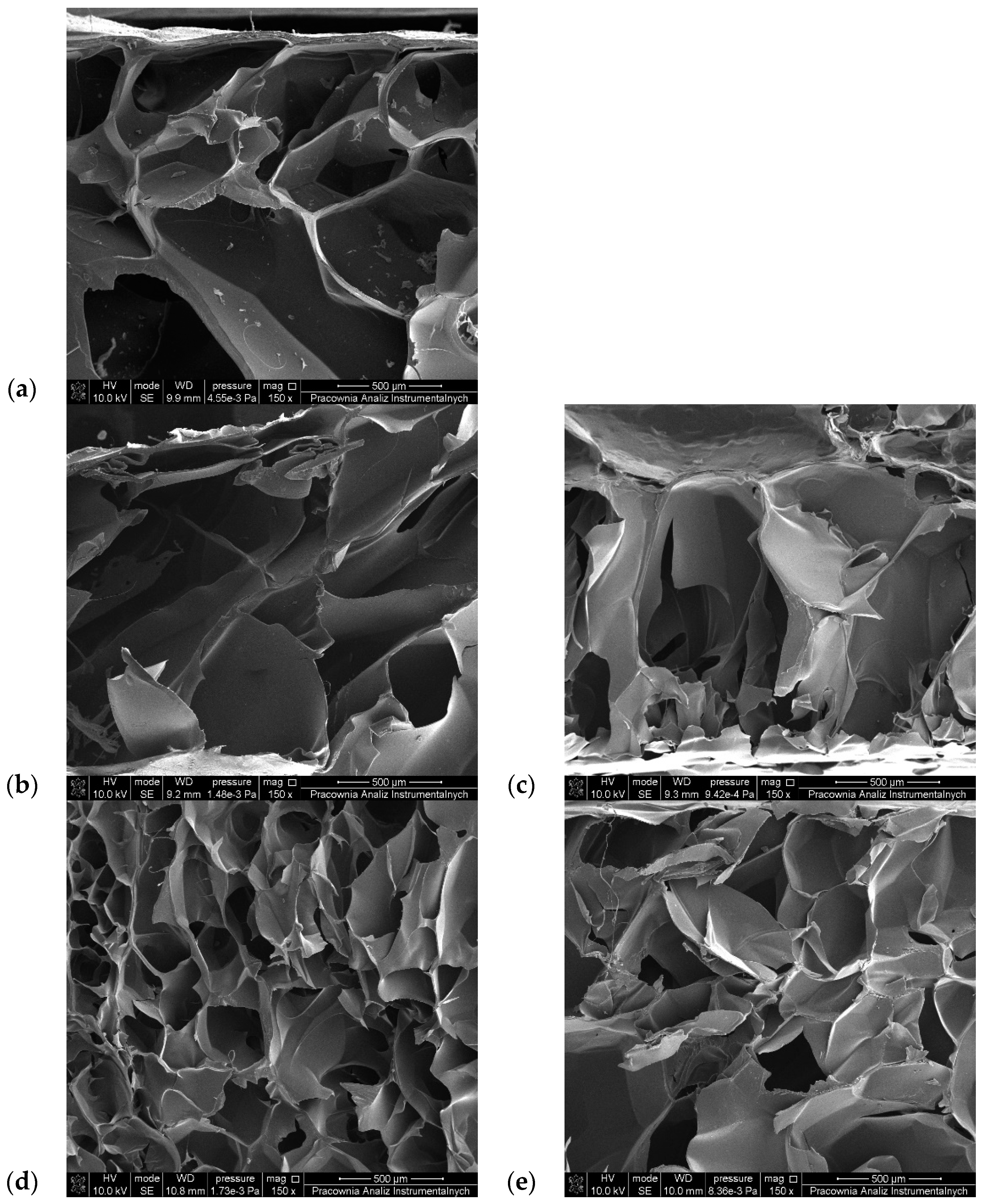 Polymers 16 02560 g007