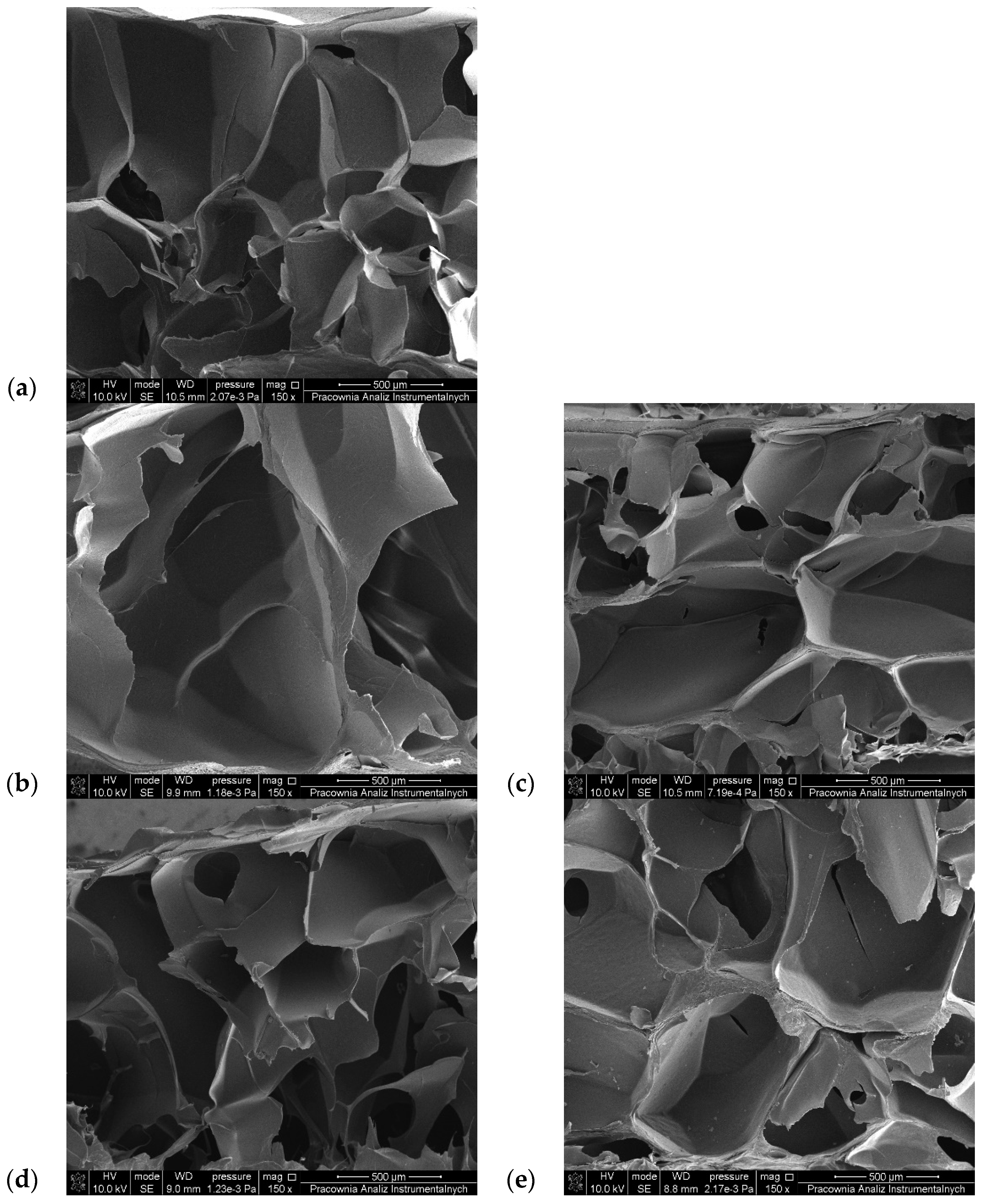 Polymers 16 02560 g008