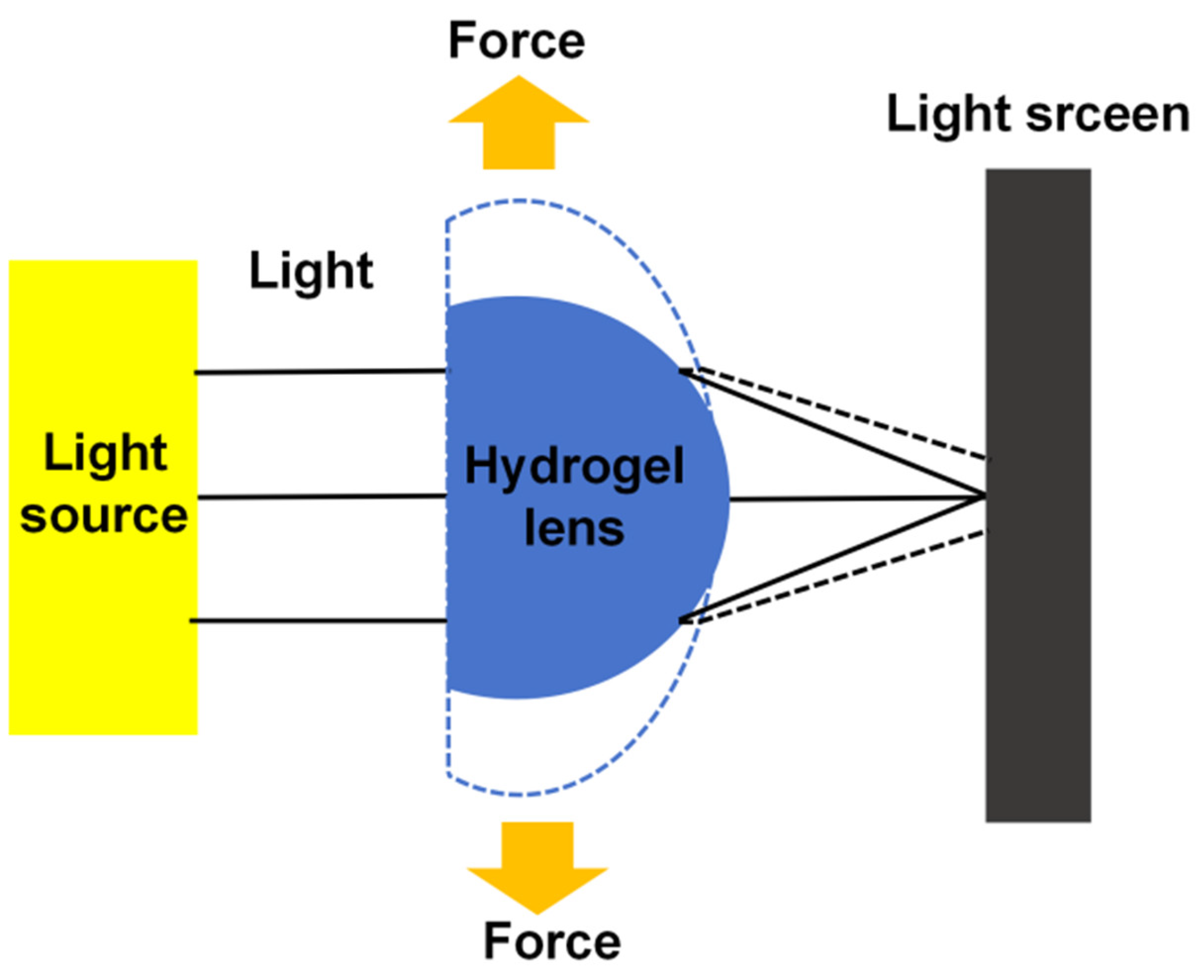 Polymers 16 02562 g002
