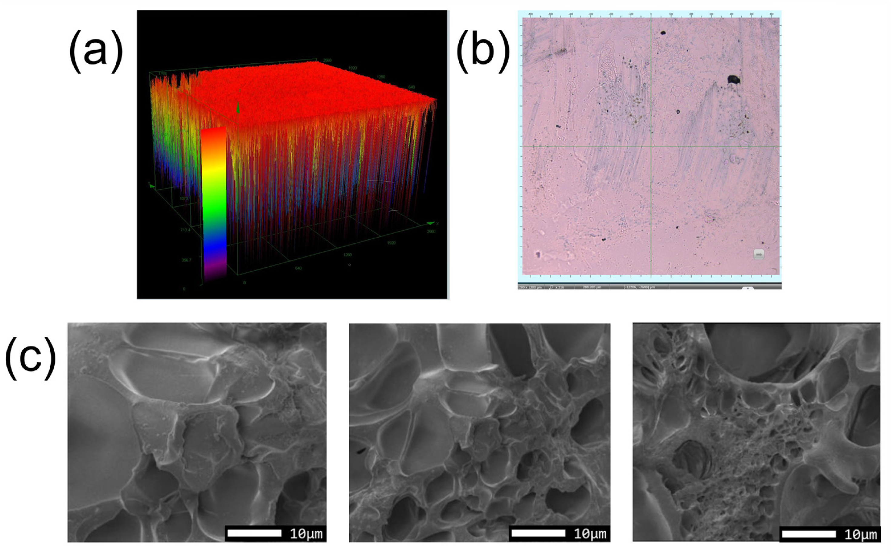 Polymers 16 02562 g003