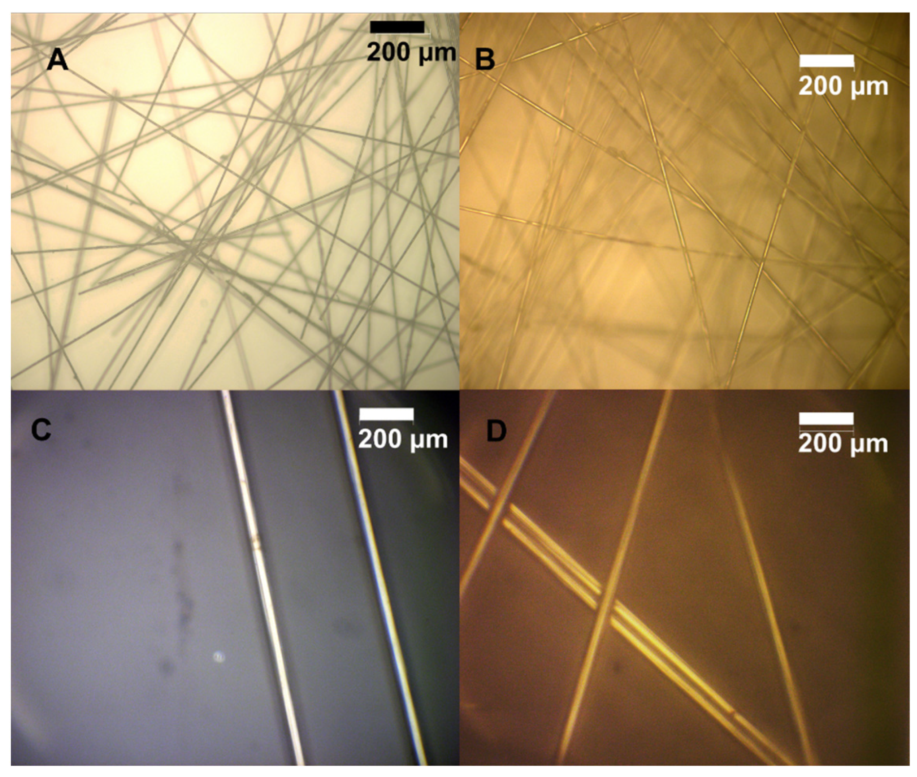 Polymers 16 02569 g013