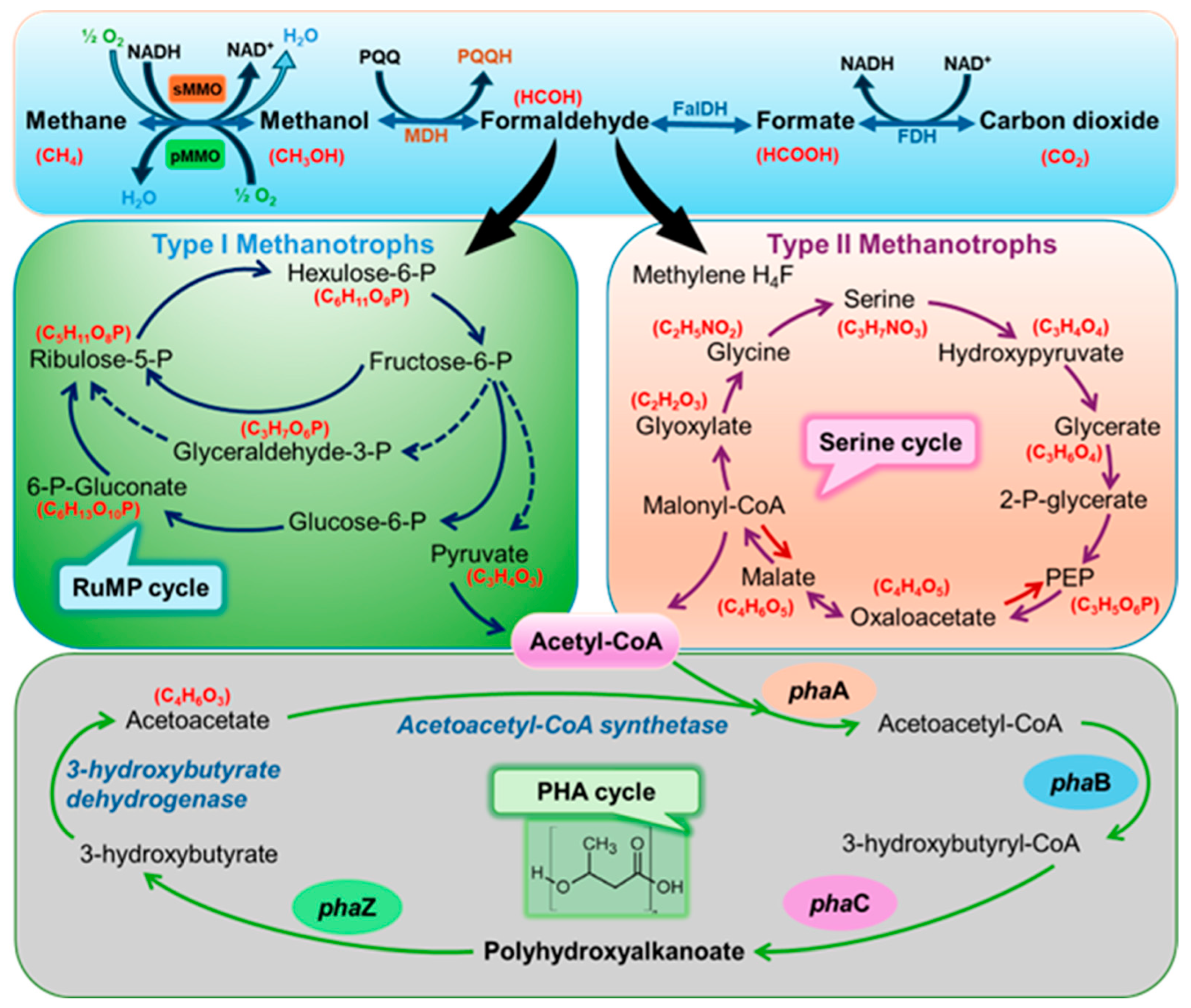 Polymers 16 02570 g001