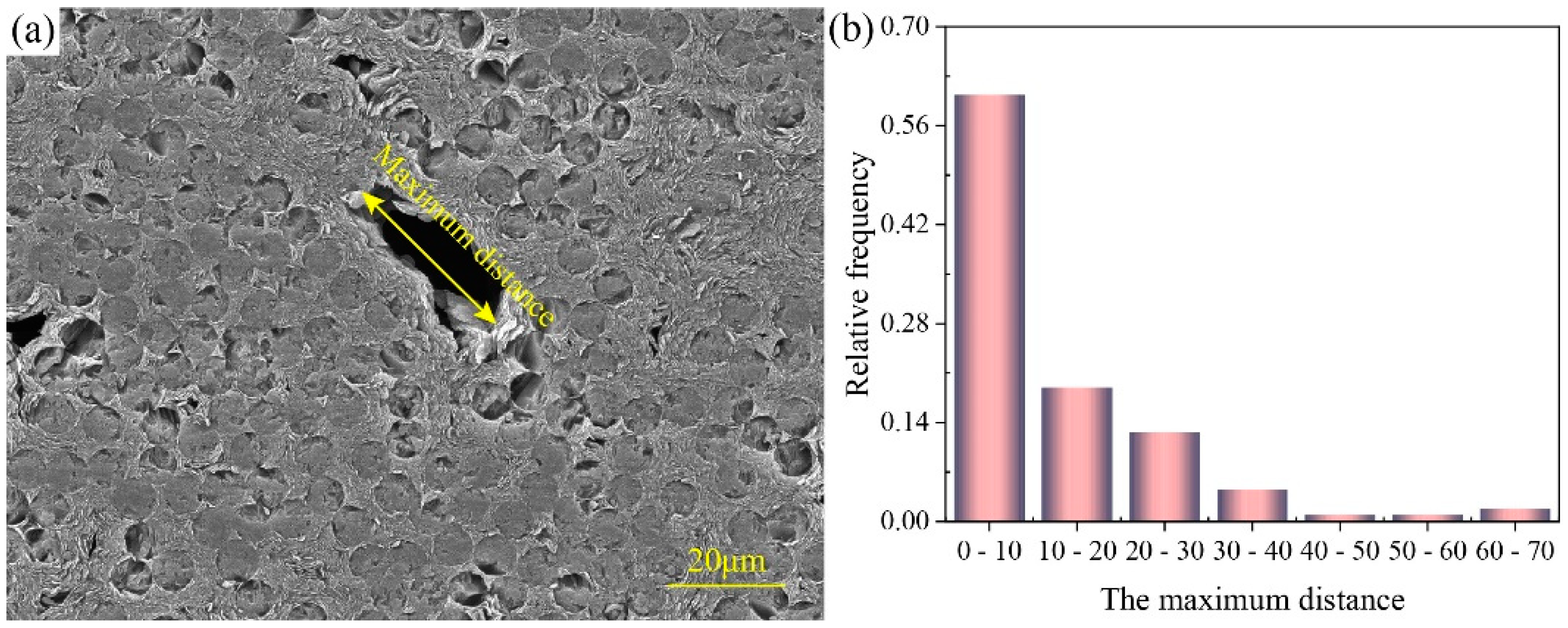 Polymers 16 02577 g002