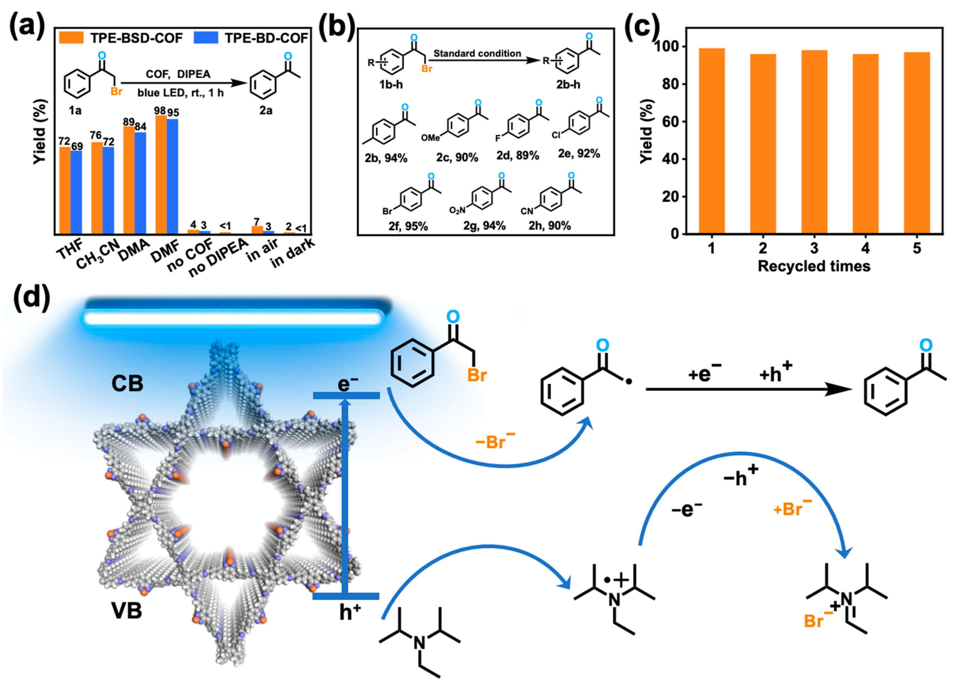 Polymers 16 02578 g005