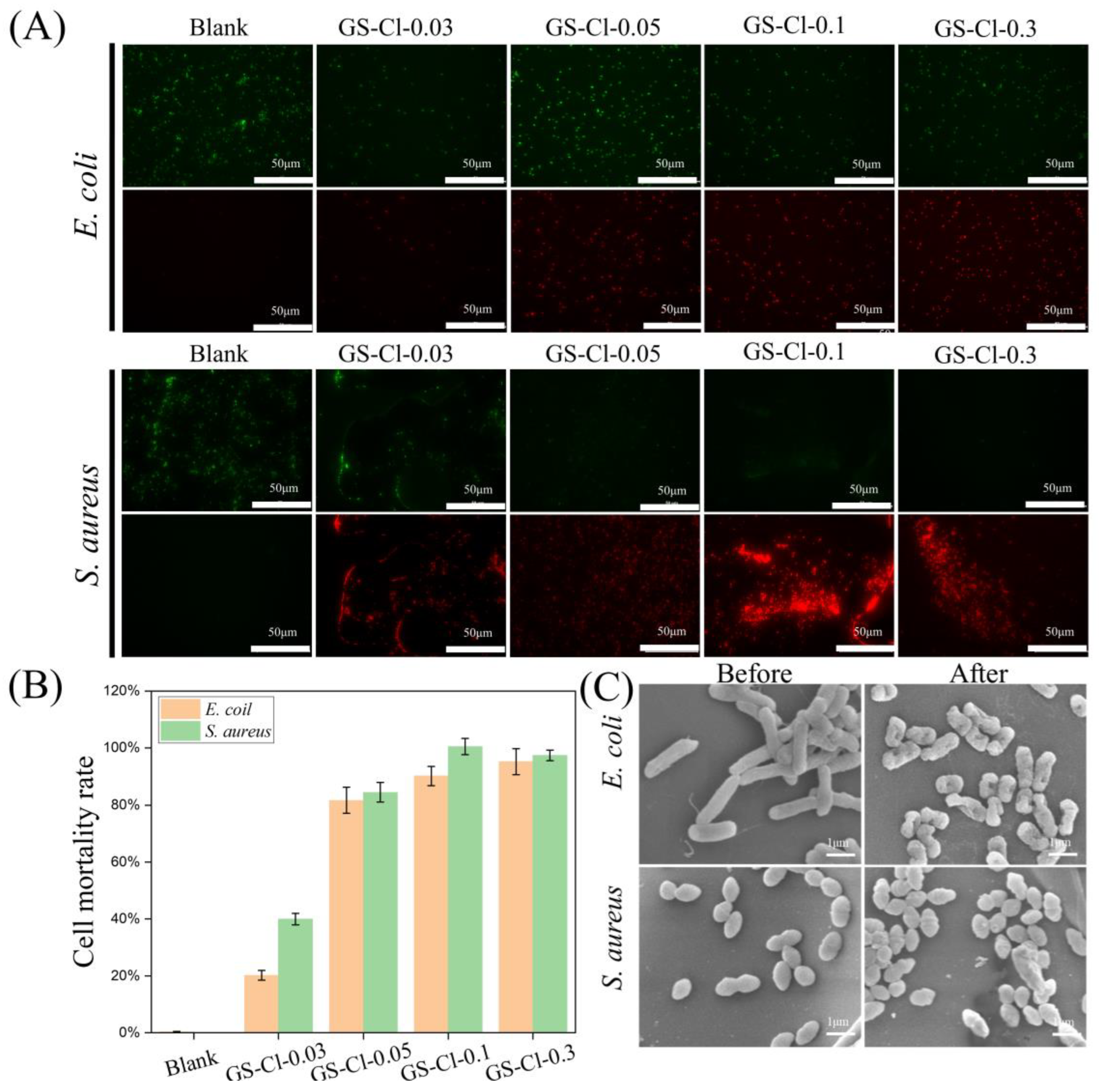 Polymers 16 02579 g005