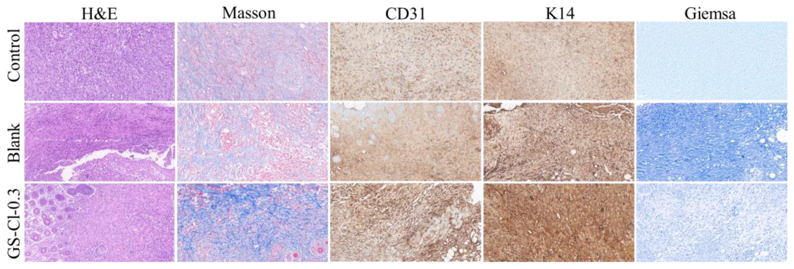 Polymers 16 02579 g009