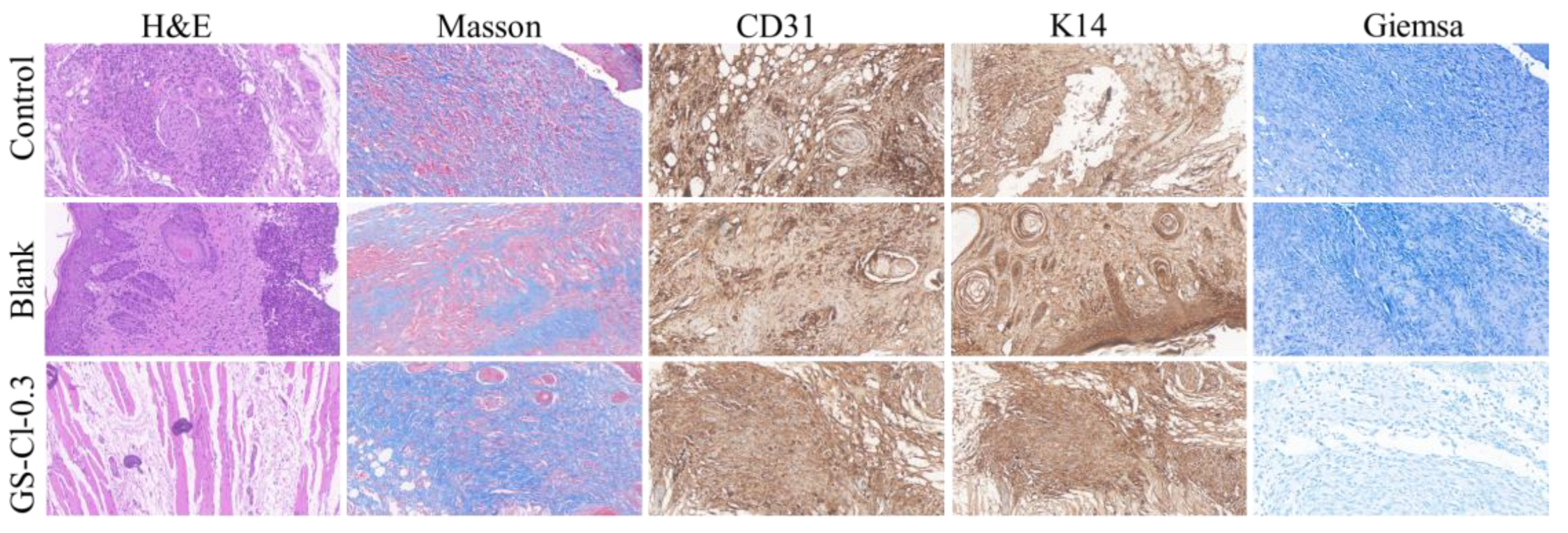 Polymers 16 02579 g010