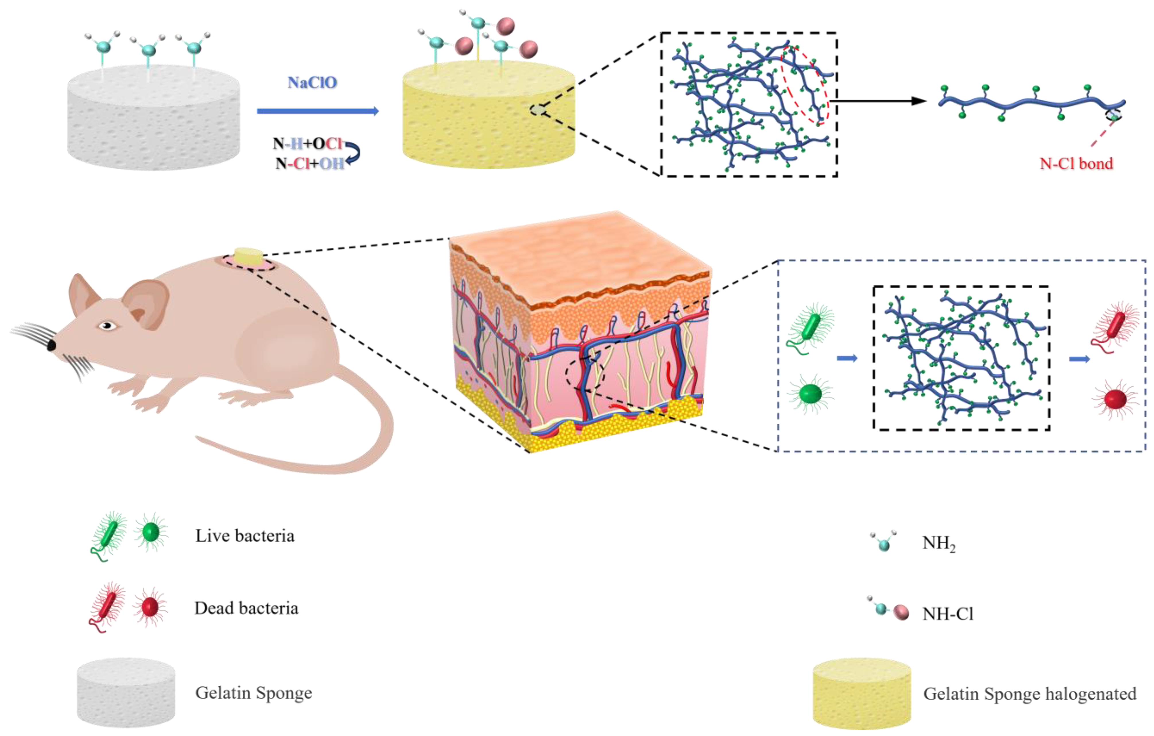 Polymers 16 02579 sch001