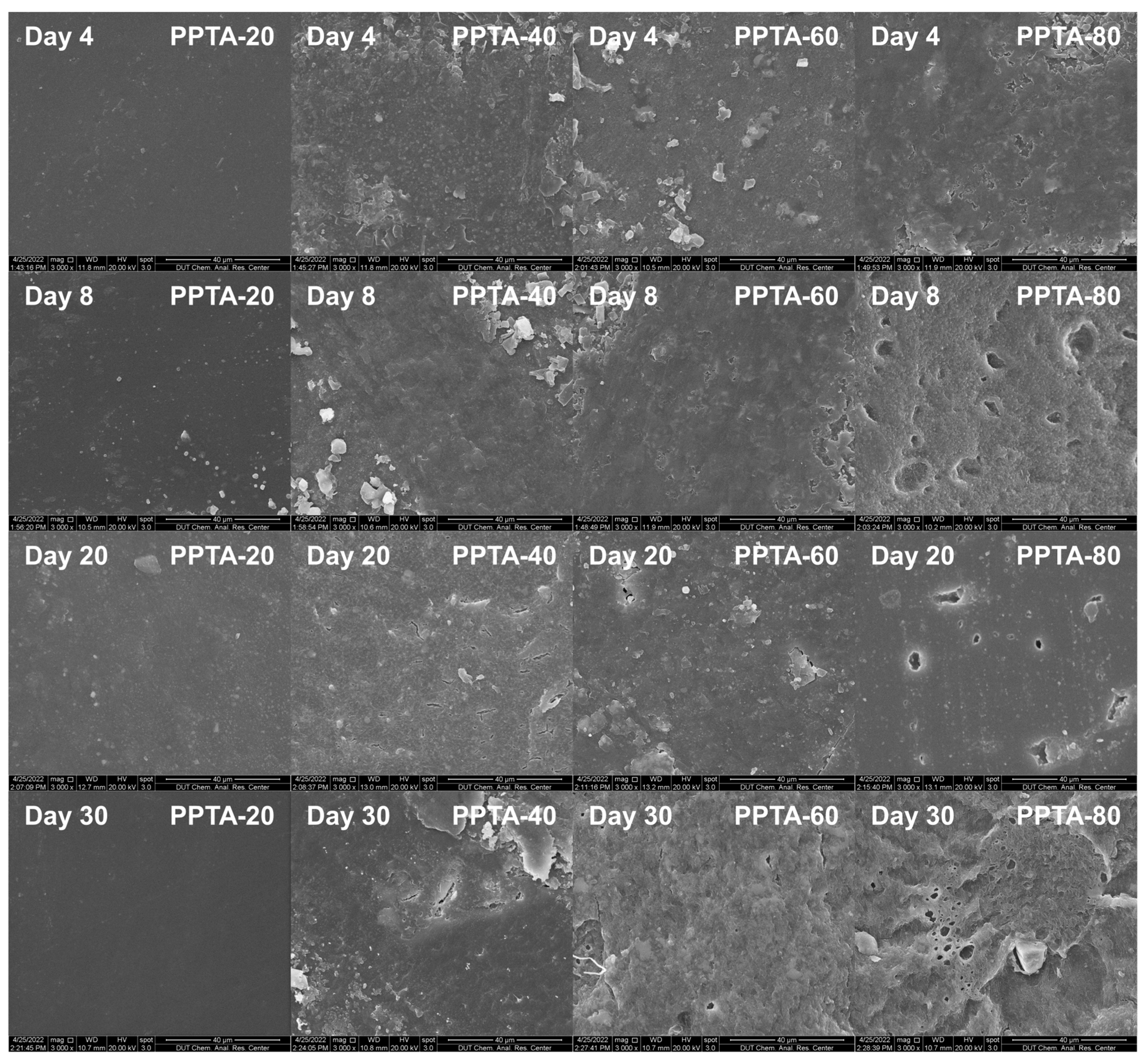 Polymers 16 02588 g007