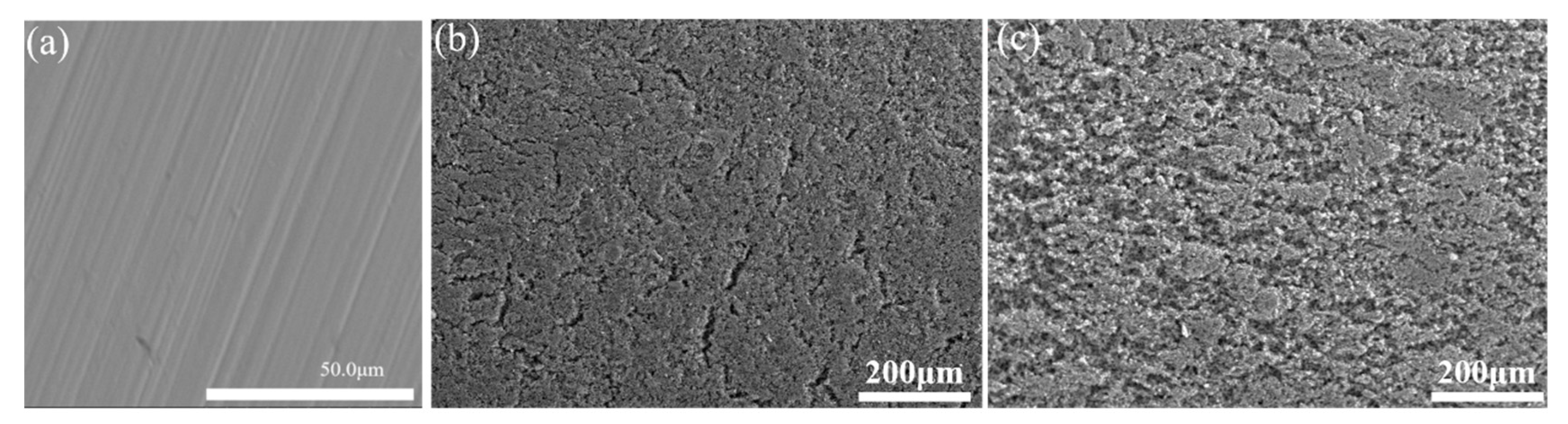 Polymers 16 02592 g005