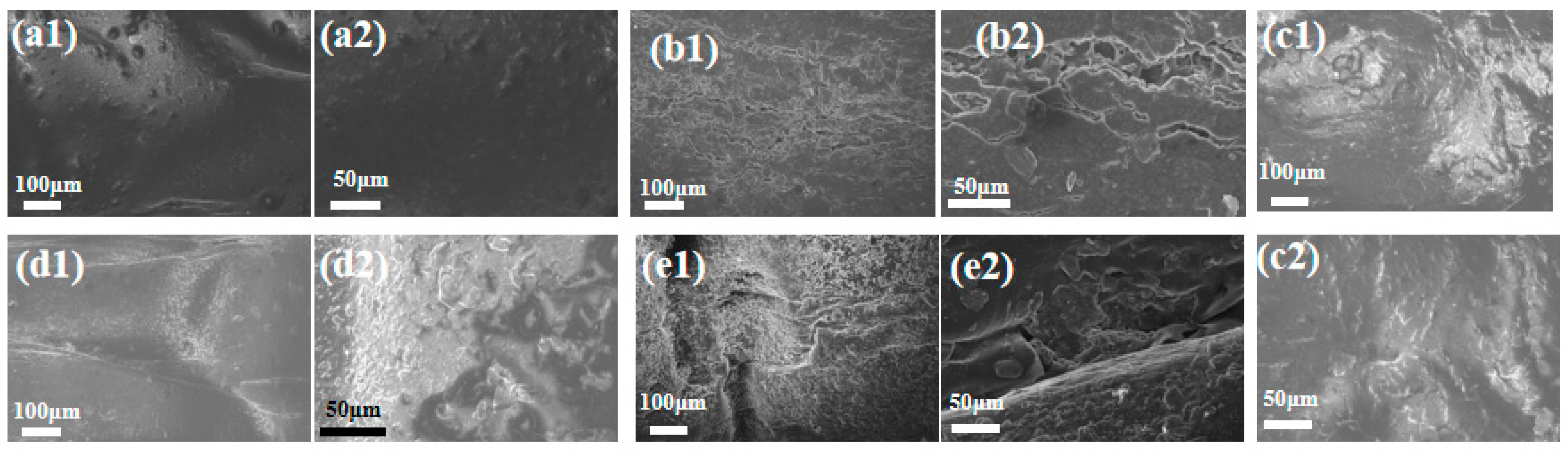 Polymers 16 02593 g006