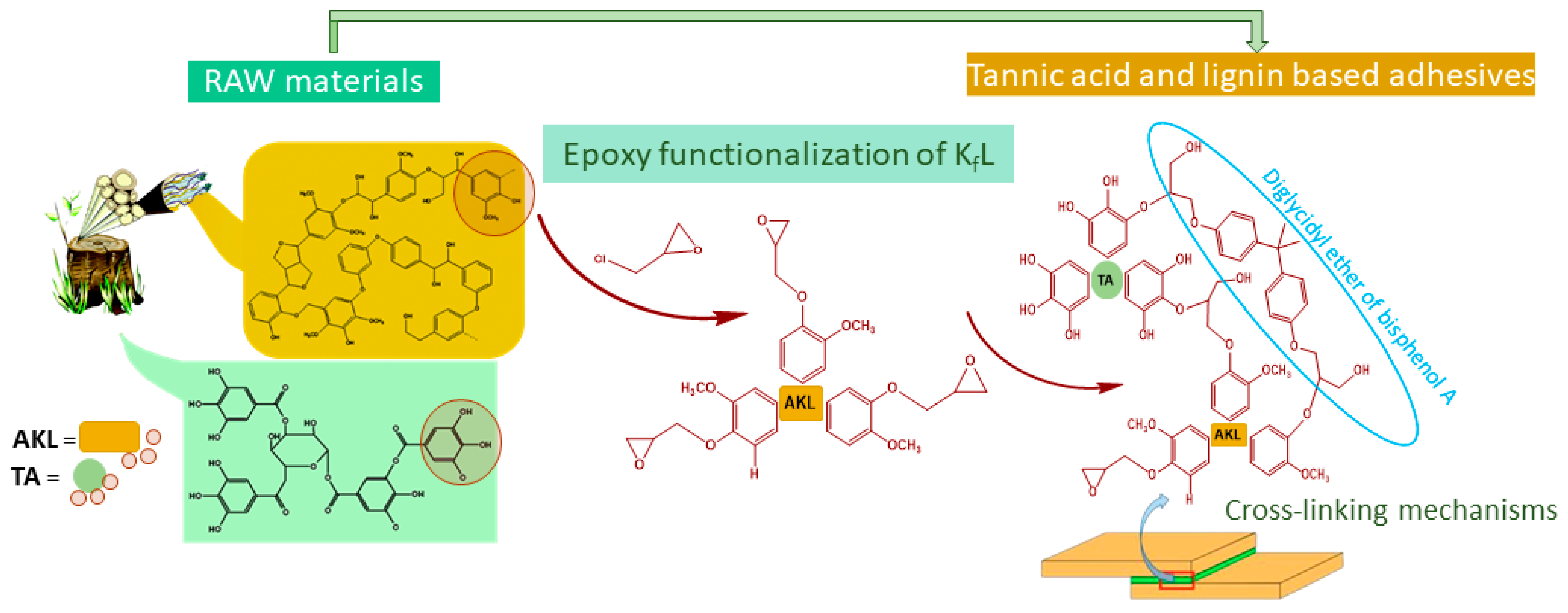Polymers 16 02602 g001