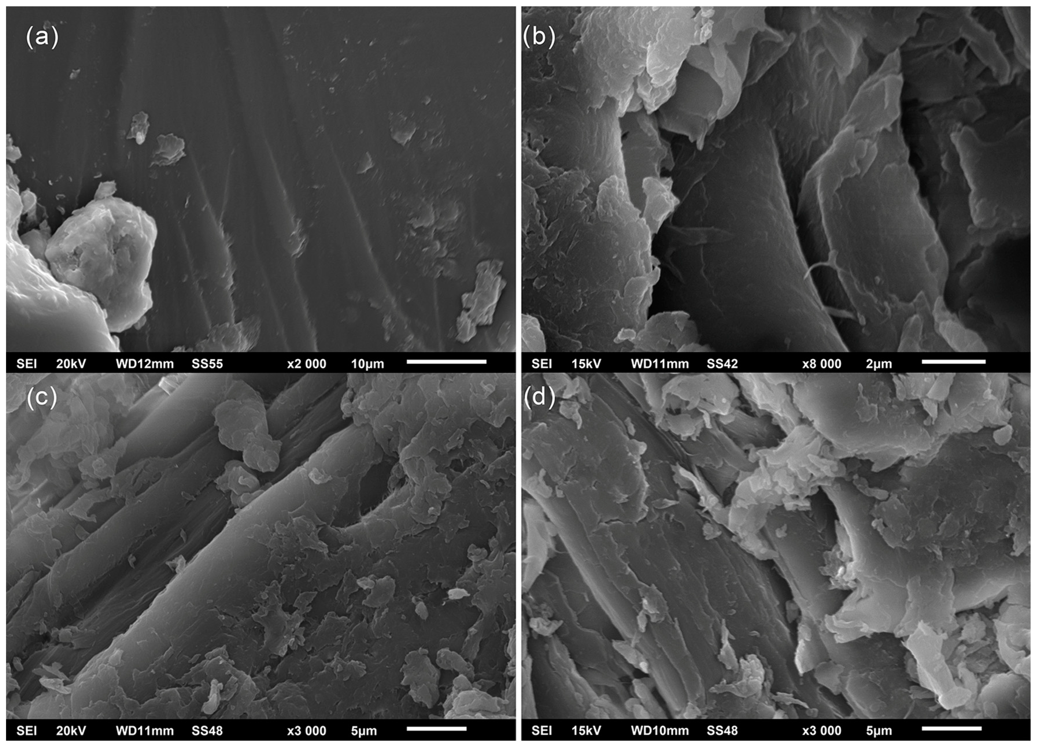 Polymers 16 02602 g008