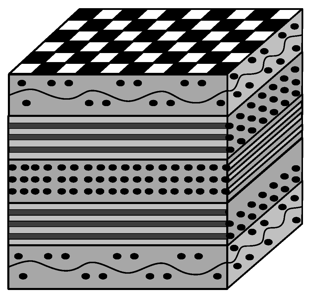 Polymers 16 02603 g001