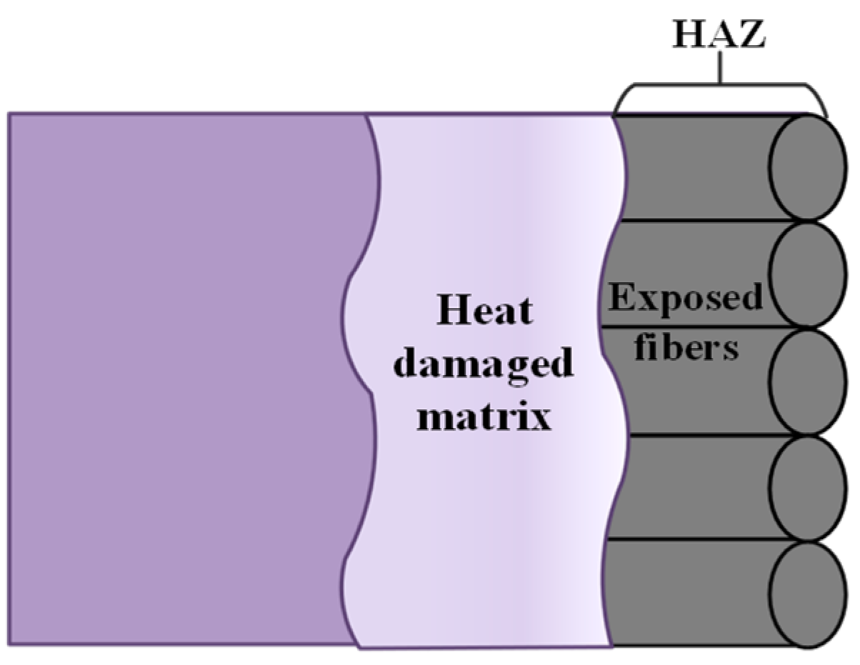Polymers 16 02603 g006