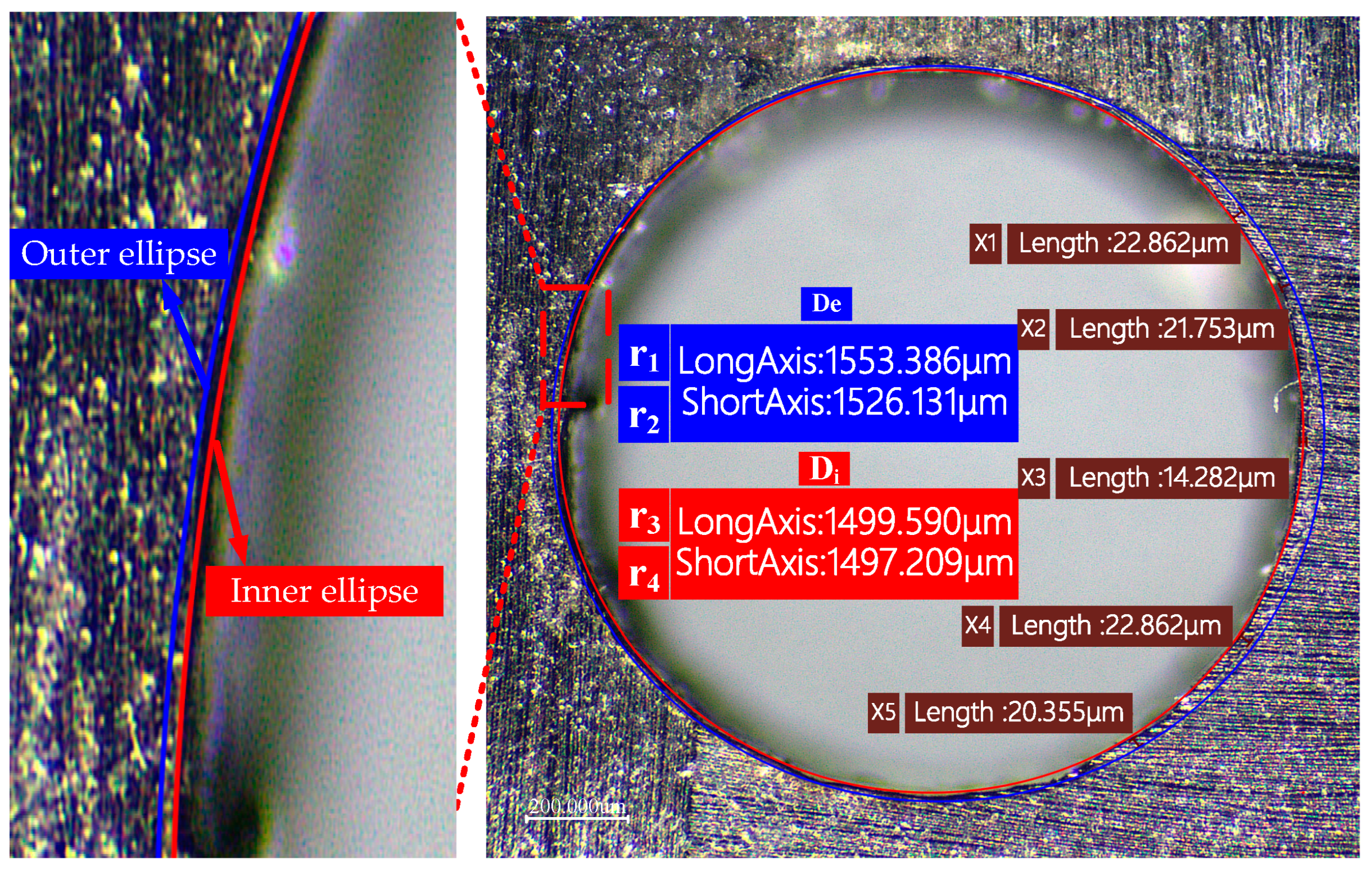 Polymers 16 02603 g007