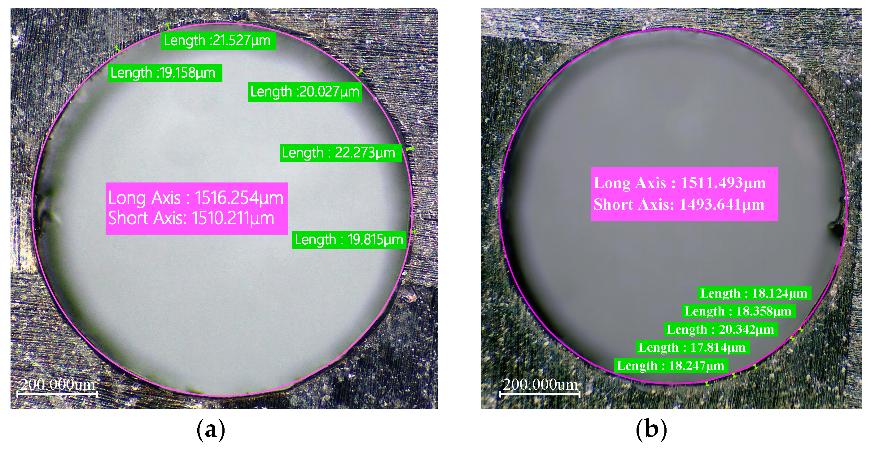 Polymers 16 02603 g011