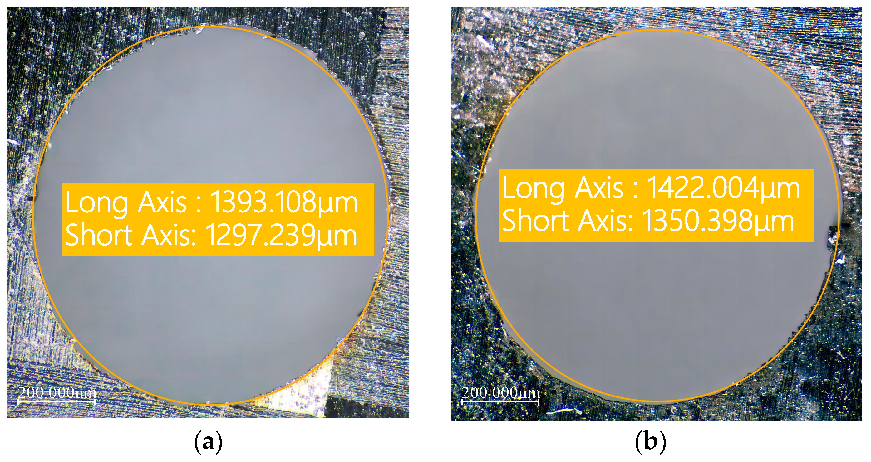 Polymers 16 02603 g012