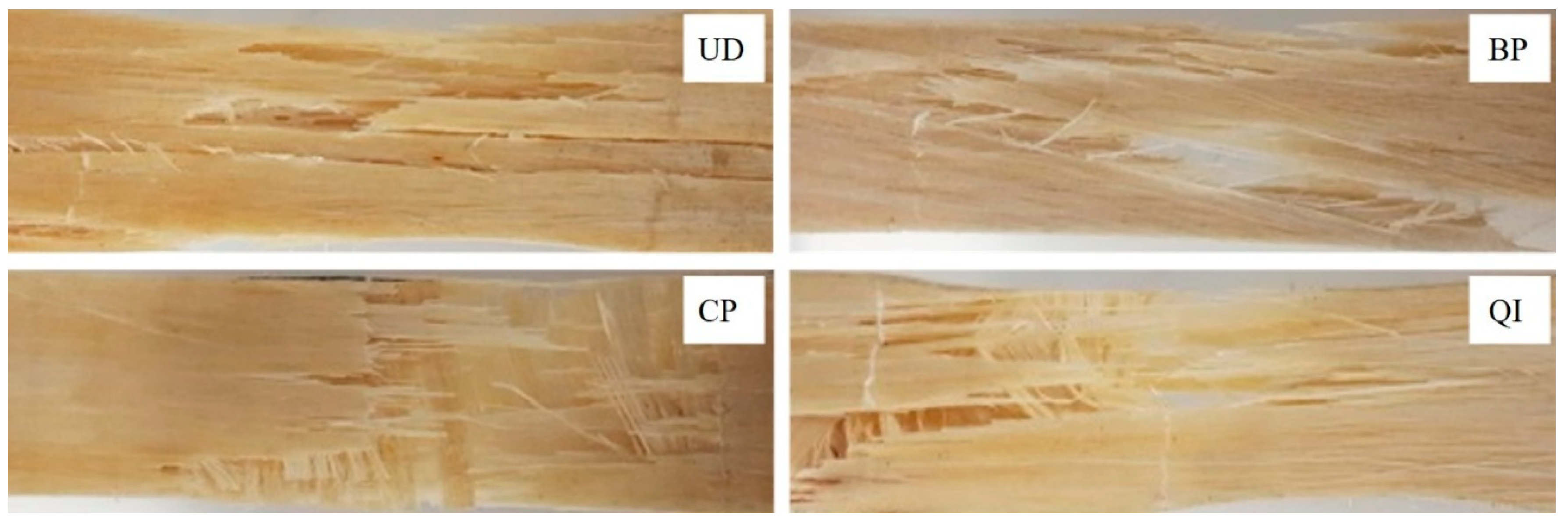 Polymers 16 02630 g005
