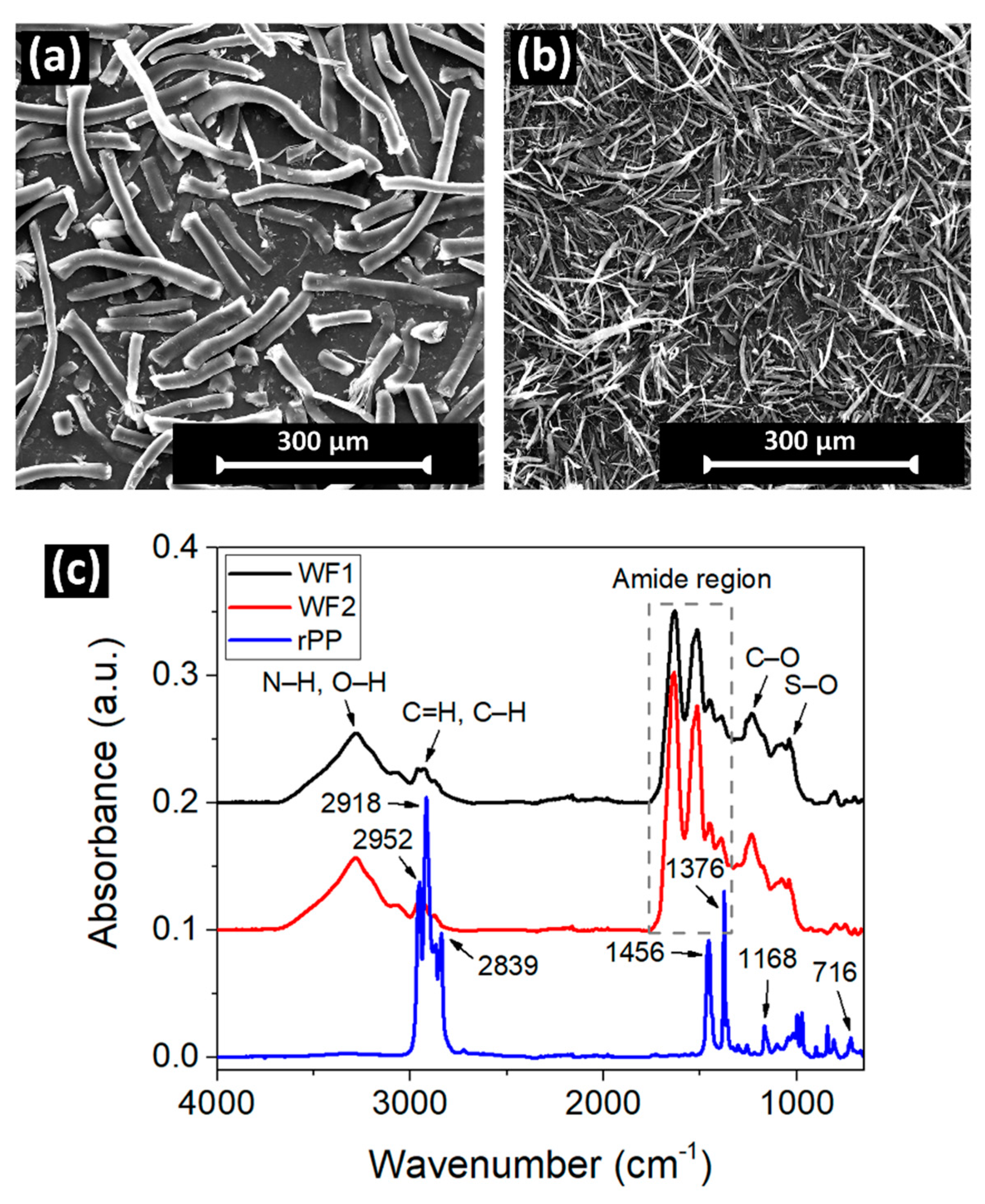 Polymers 16 02631 g002