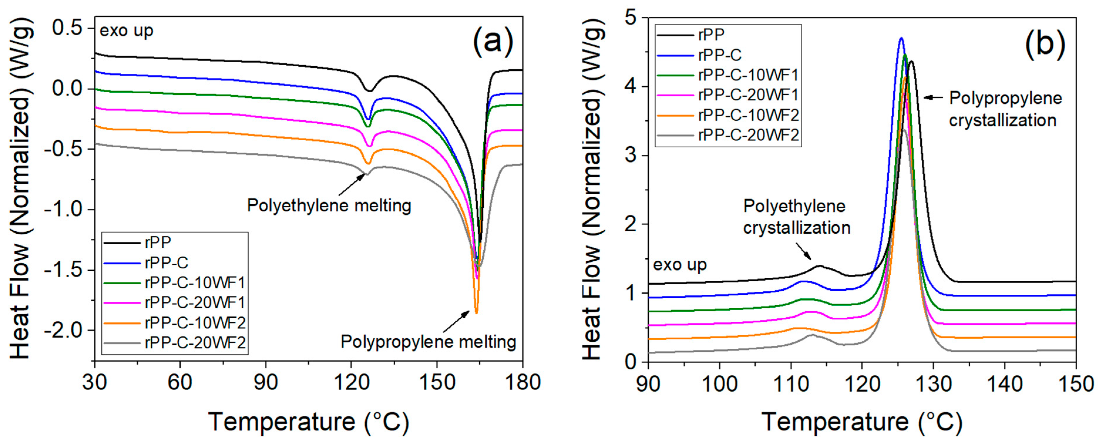 Polymers 16 02631 g005
