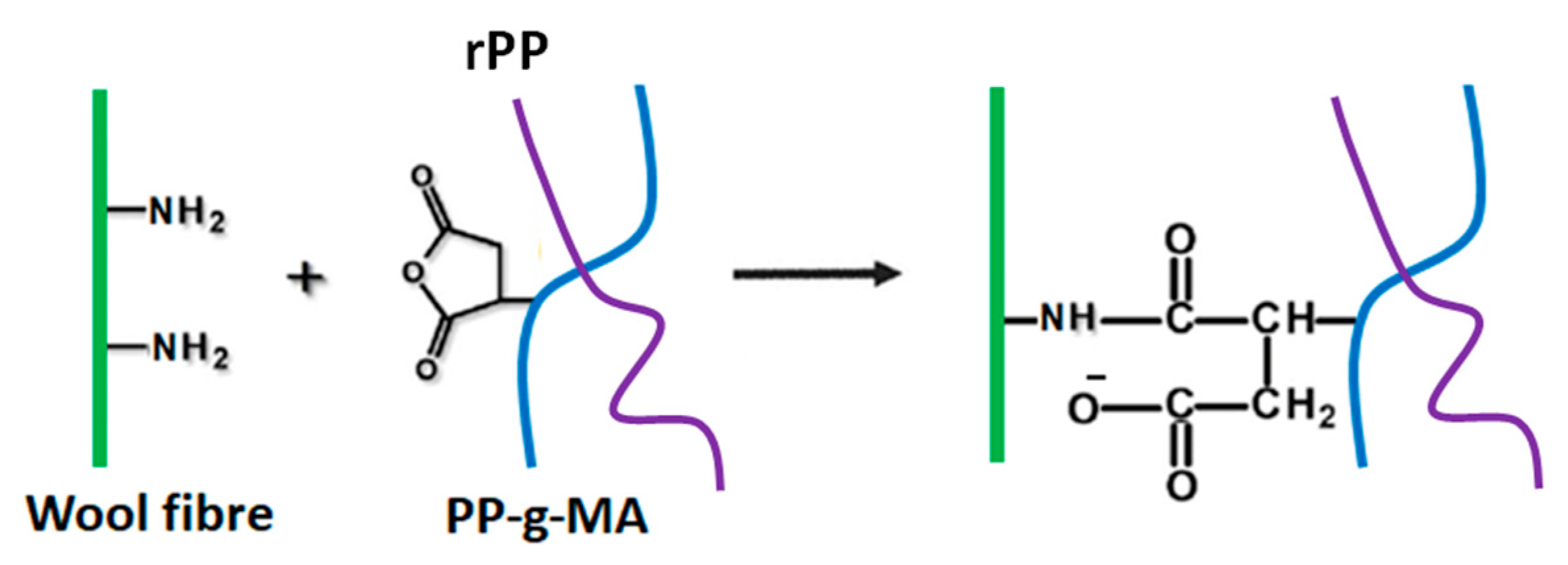 Polymers 16 02631 g006