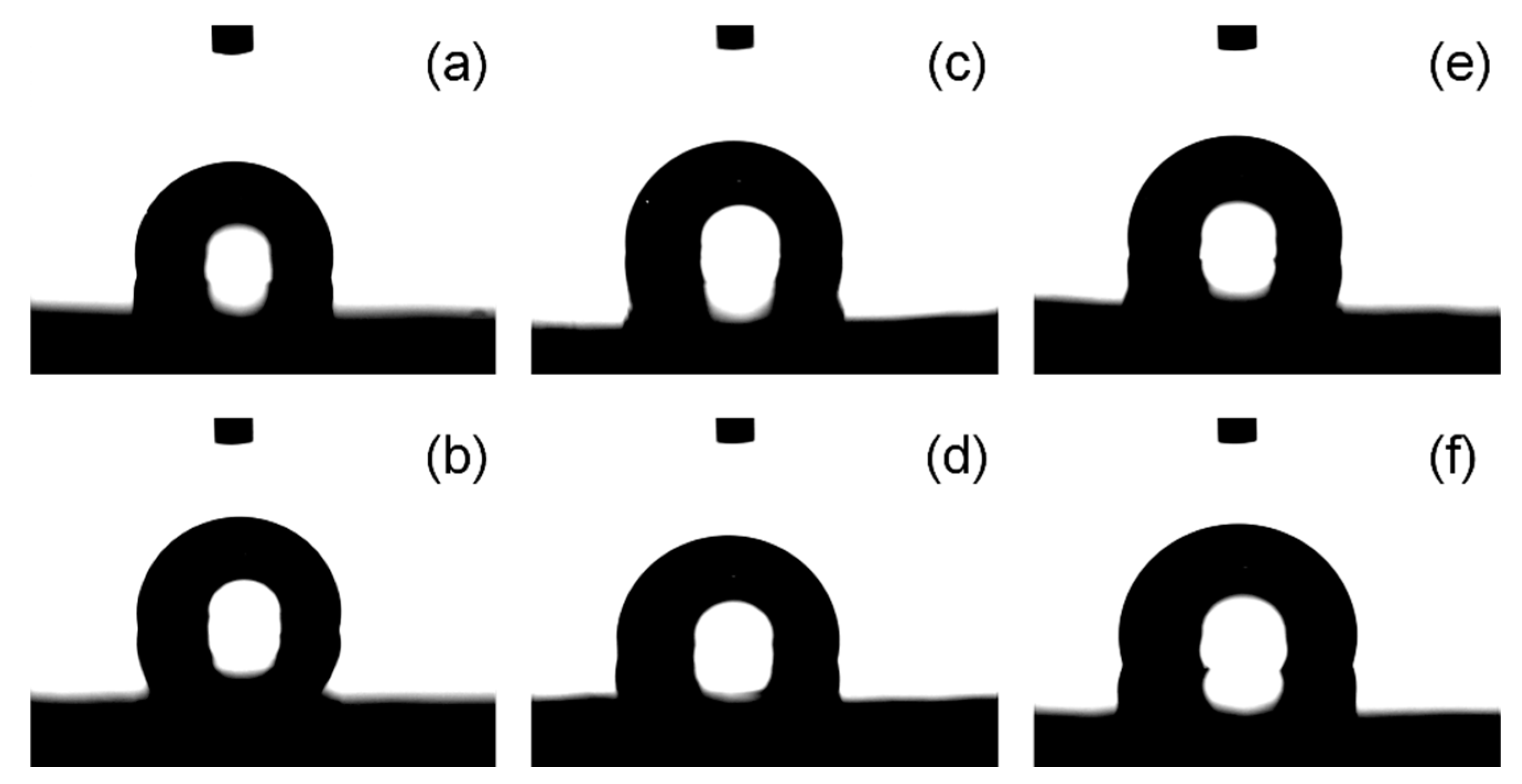 Polymers 16 02631 g008