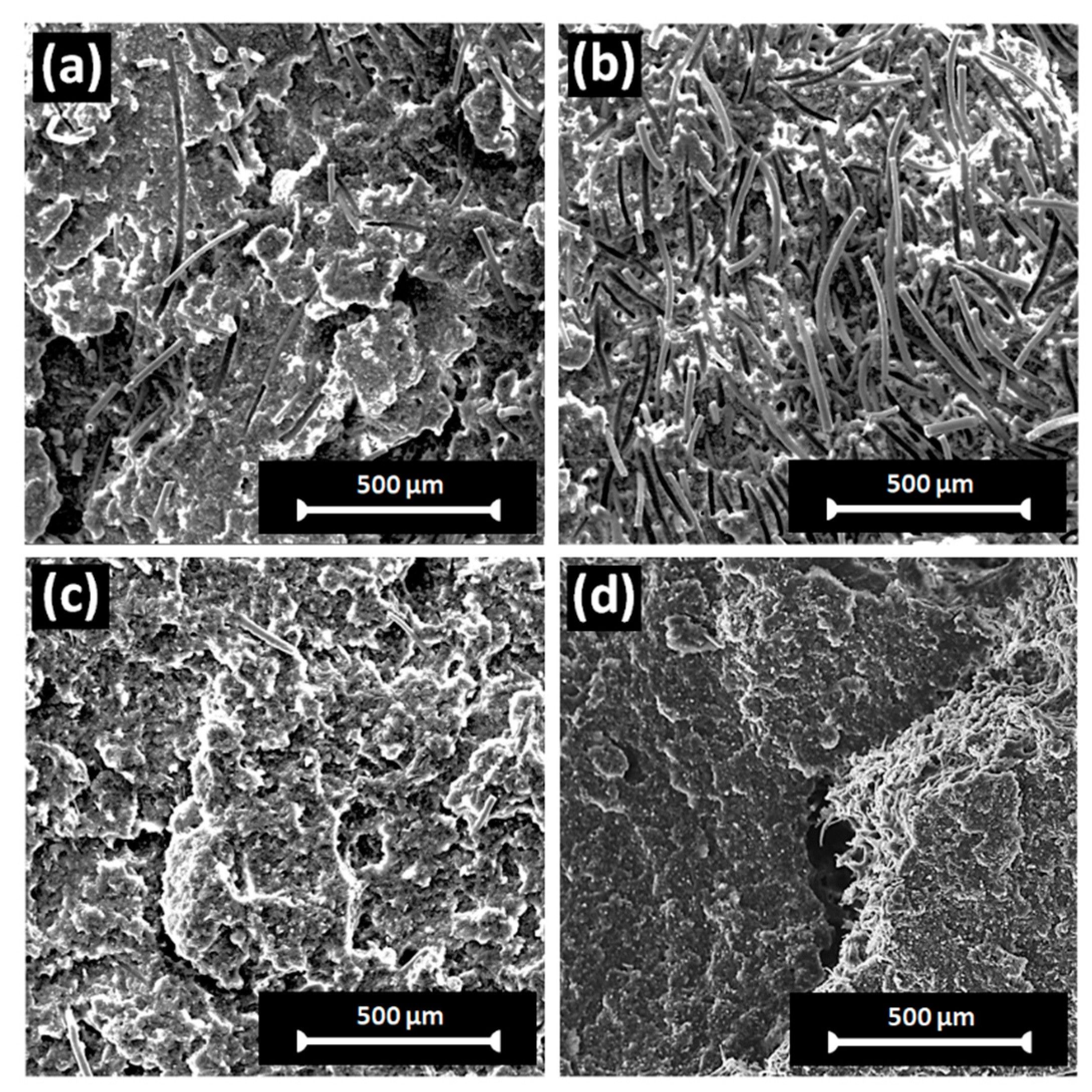 Polymers 16 02631 g010