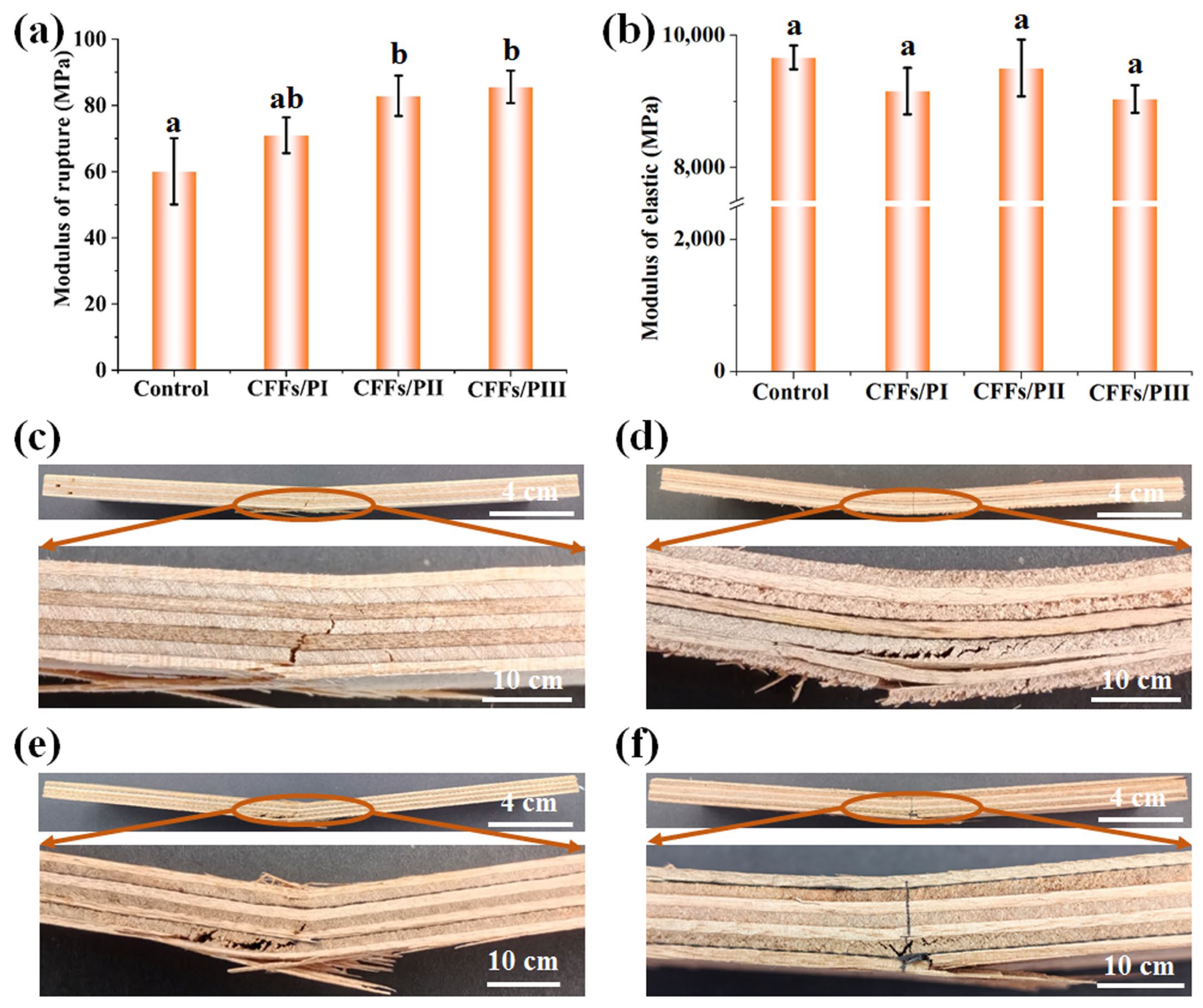Polymers 16 02637 g003
