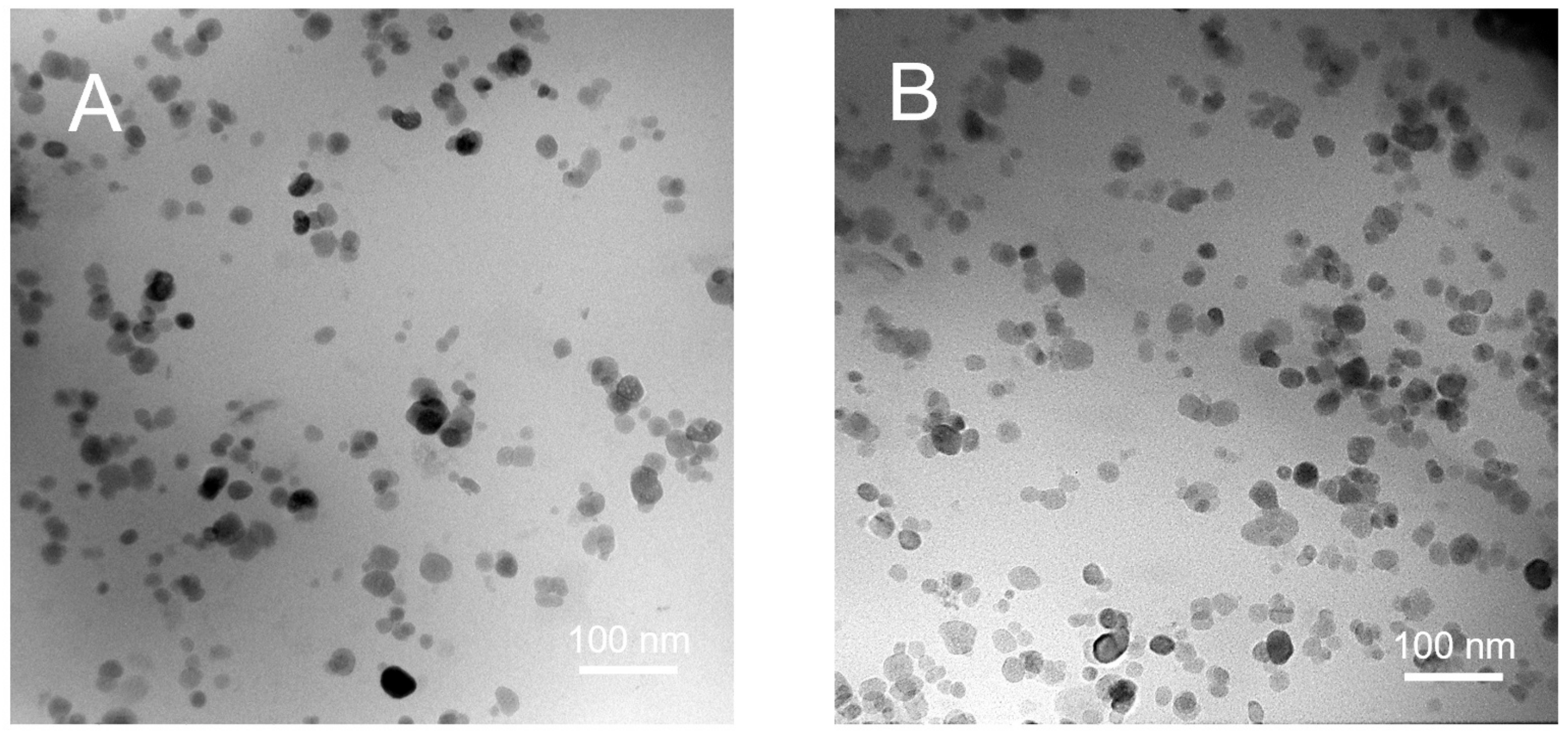 Polymers 16 02638 g003