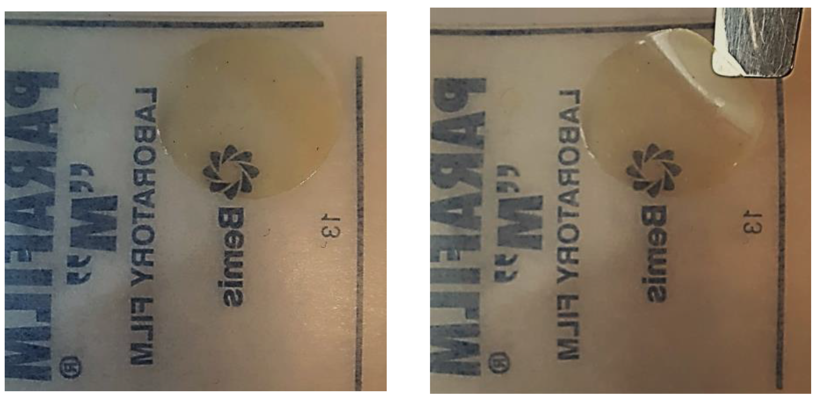 Polymers 16 02649 g001 Polymers 16 02649 g001