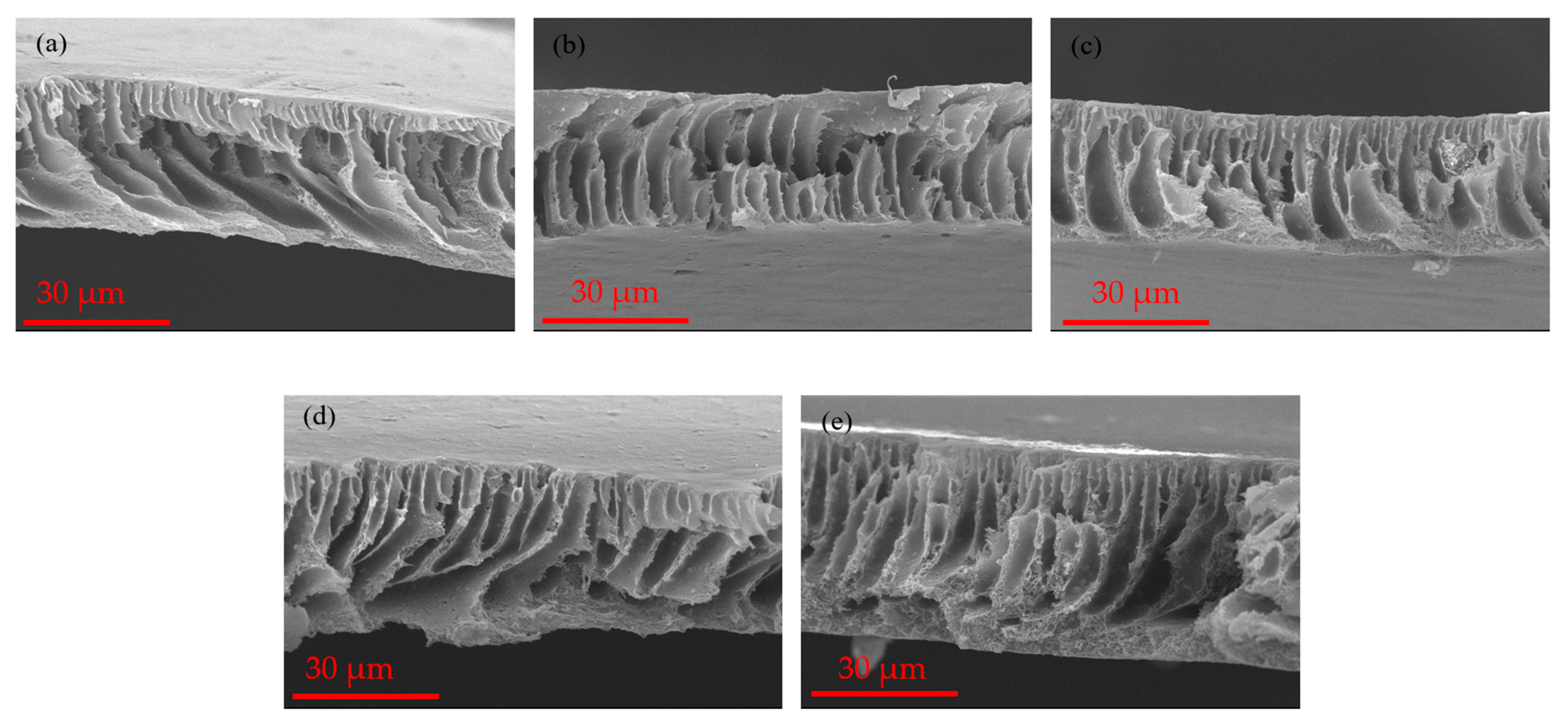 Polymers 16 02654 g003