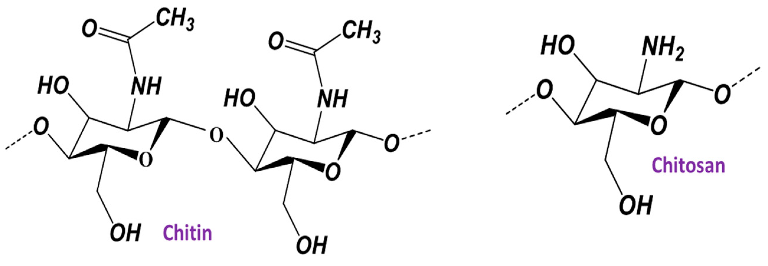 Polymers 16 02662 g001 Polymers 16 02662 g001