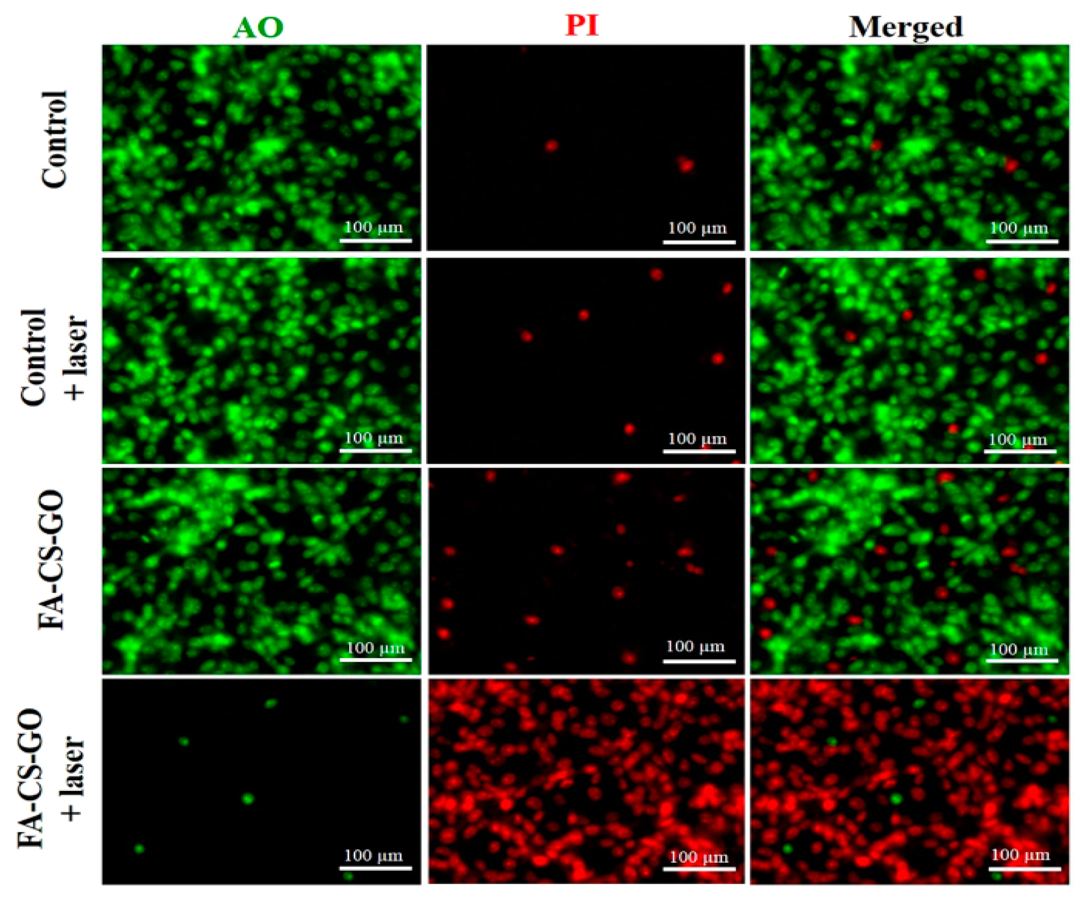 Polymers 16 02662 g009 Polymers 16 02662 g009