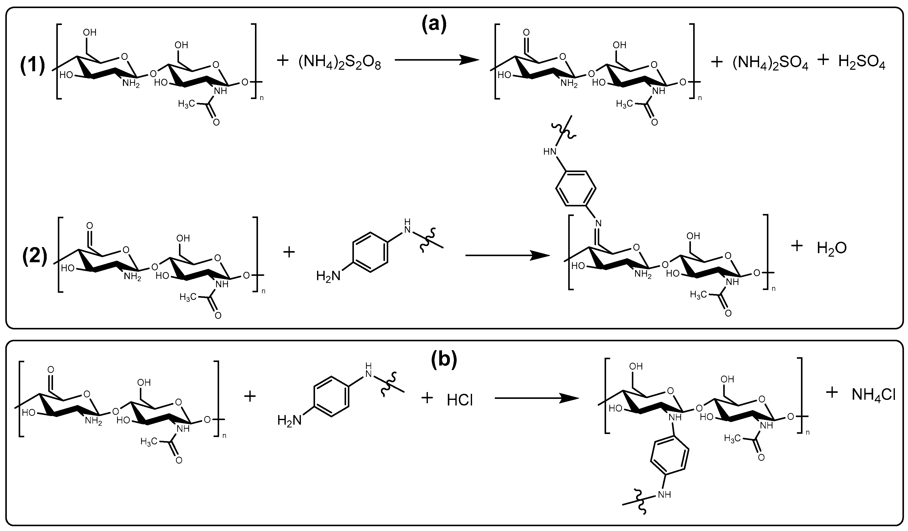 Polymers 16 02663 g012