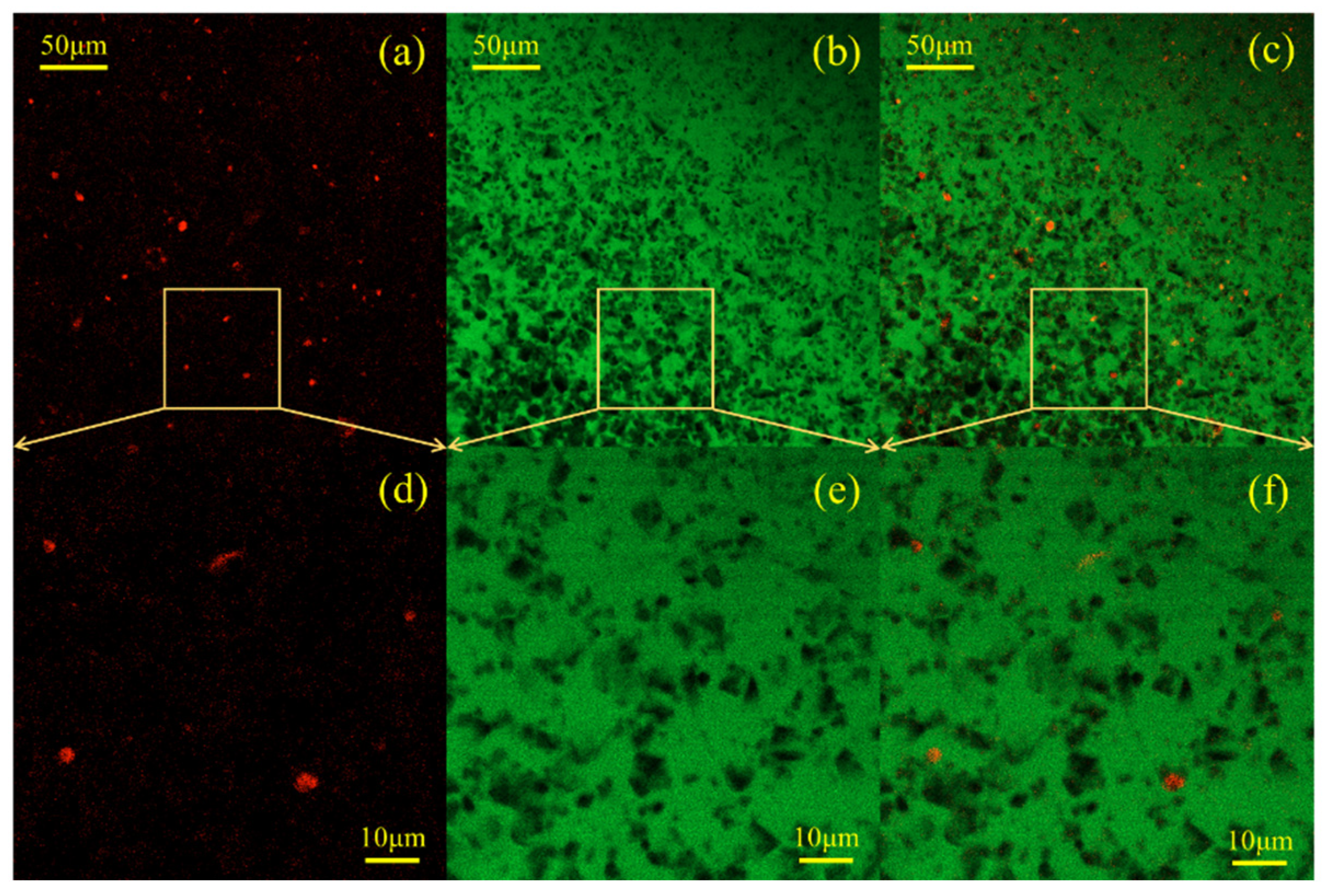 Polymers 16 02665 g013