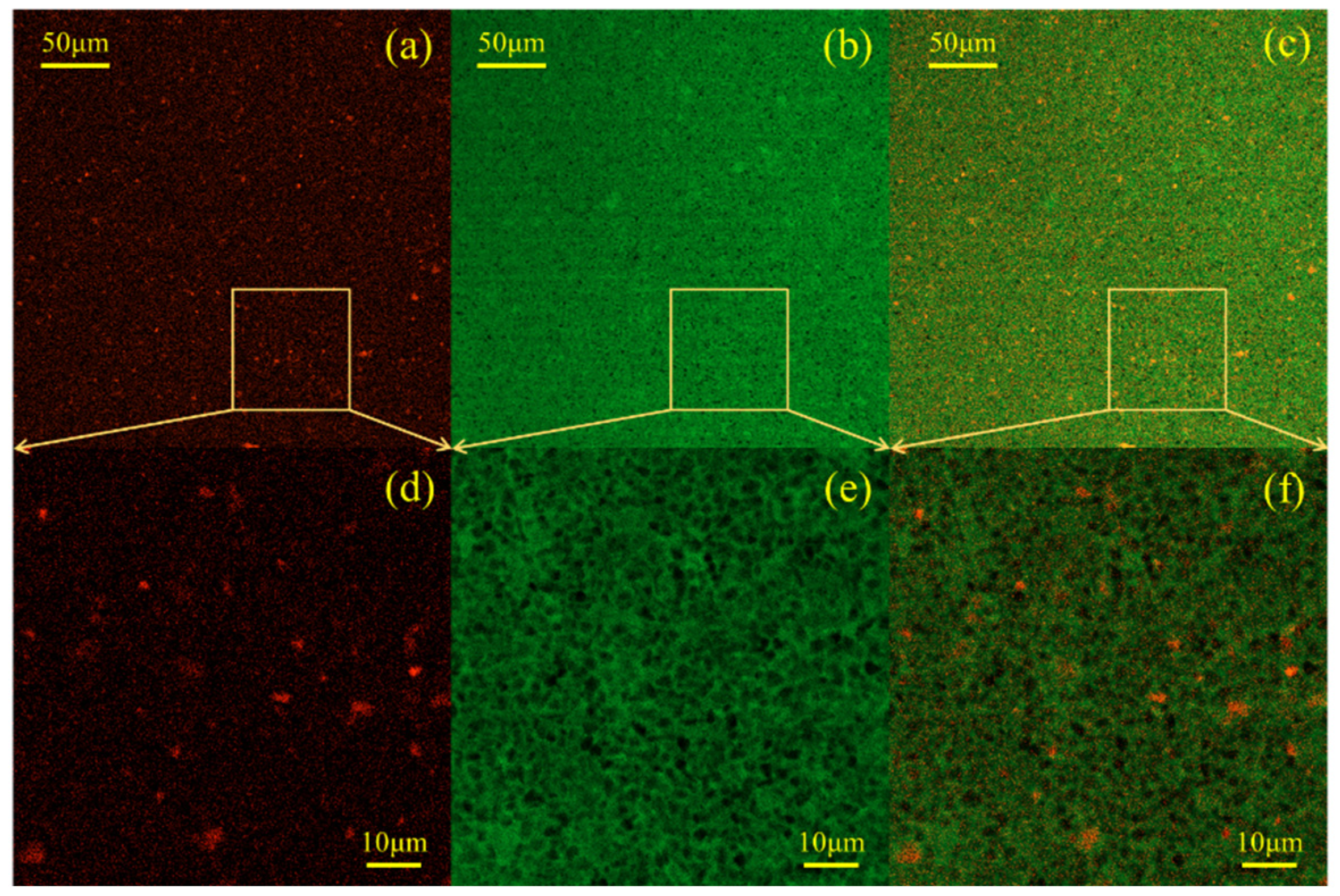 Polymers 16 02665 g014