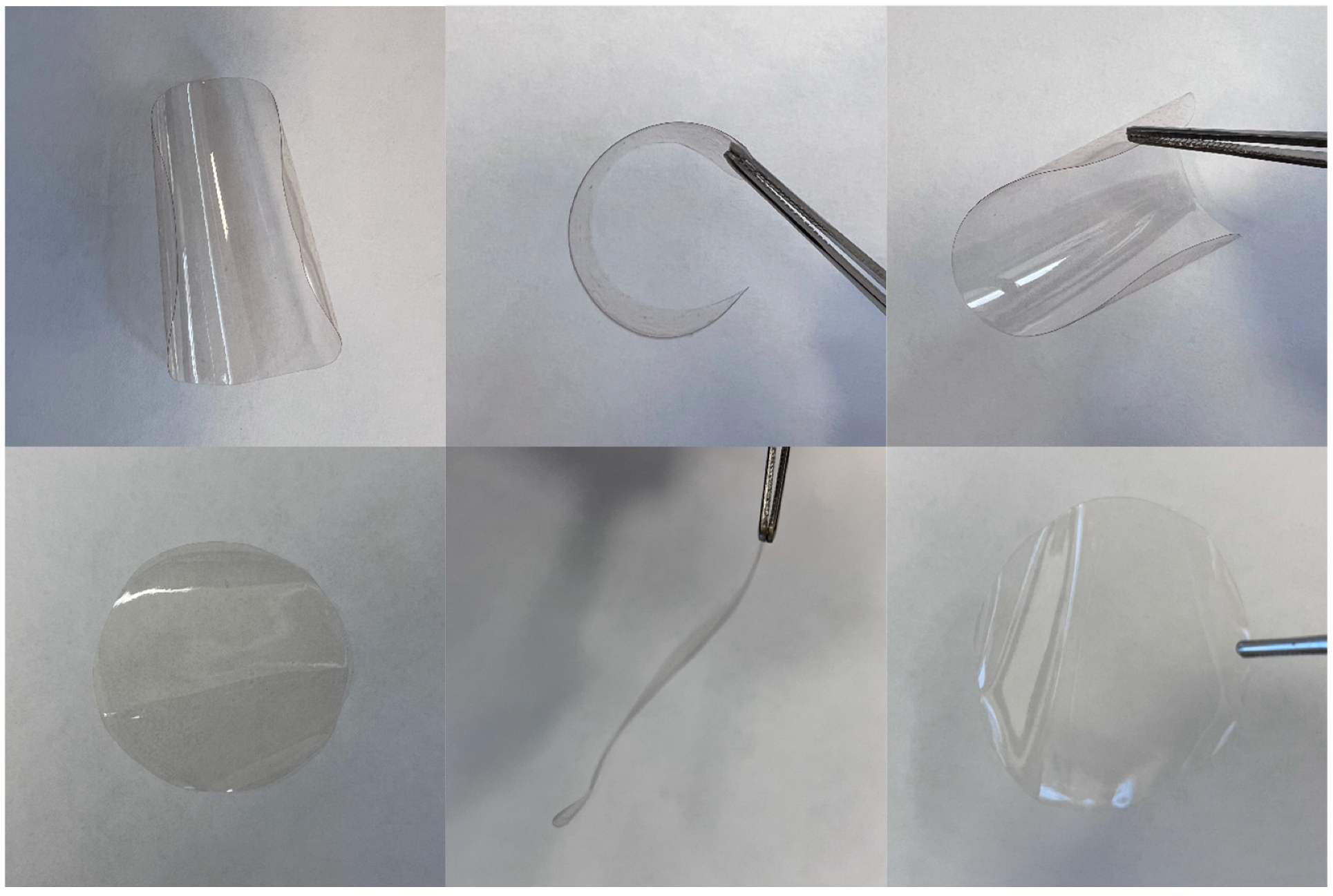 Polymers 16 02671 g004