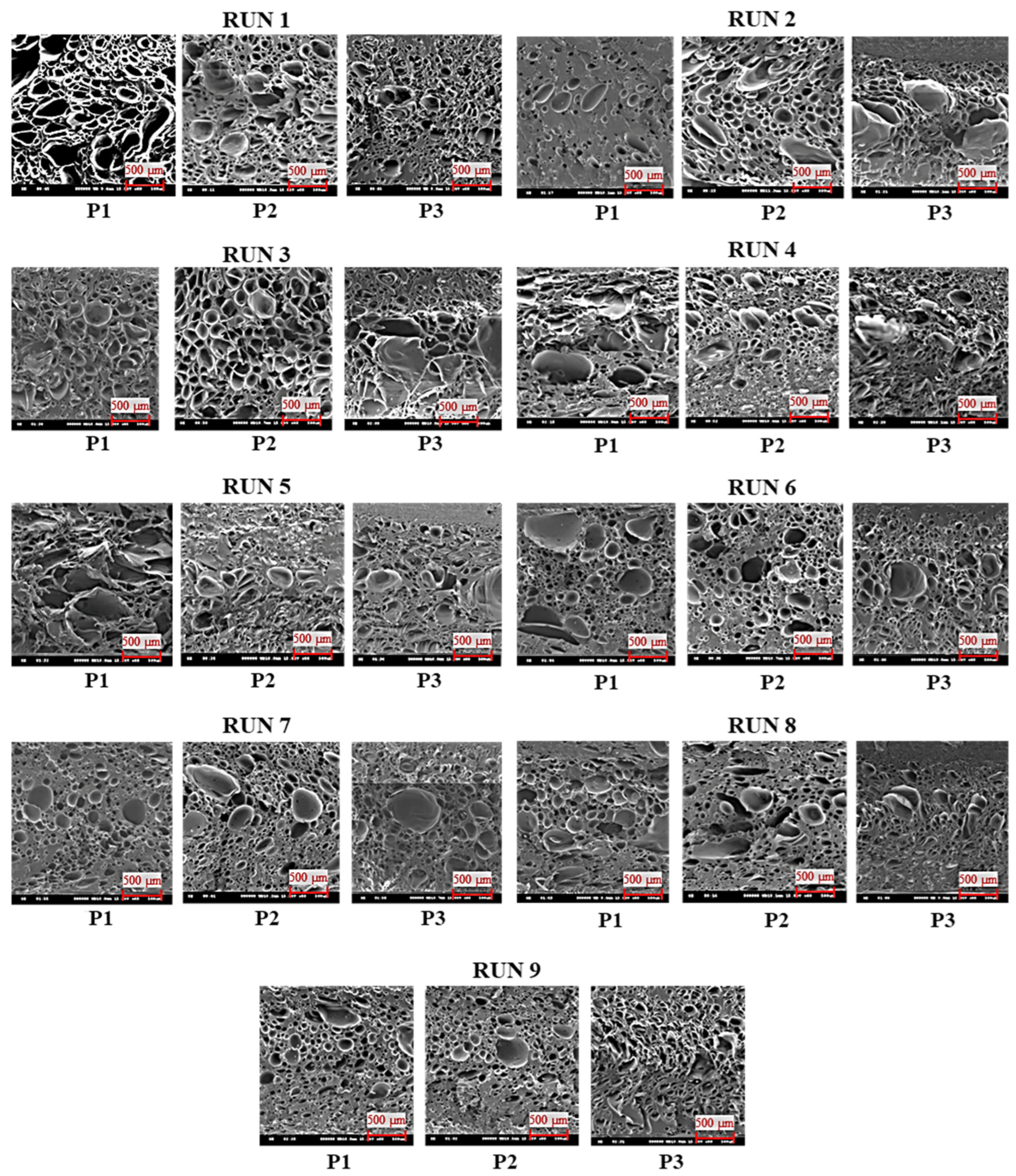 Polymers 16 02674 g003