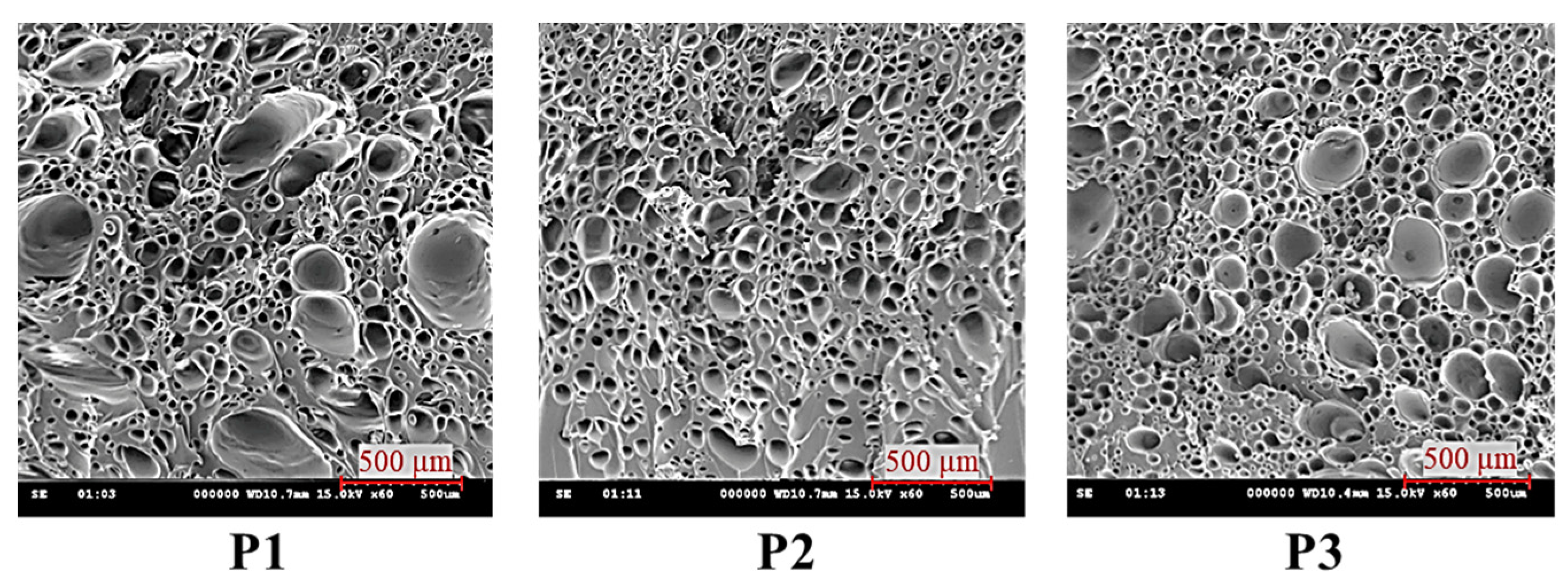 Polymers 16 02674 g007