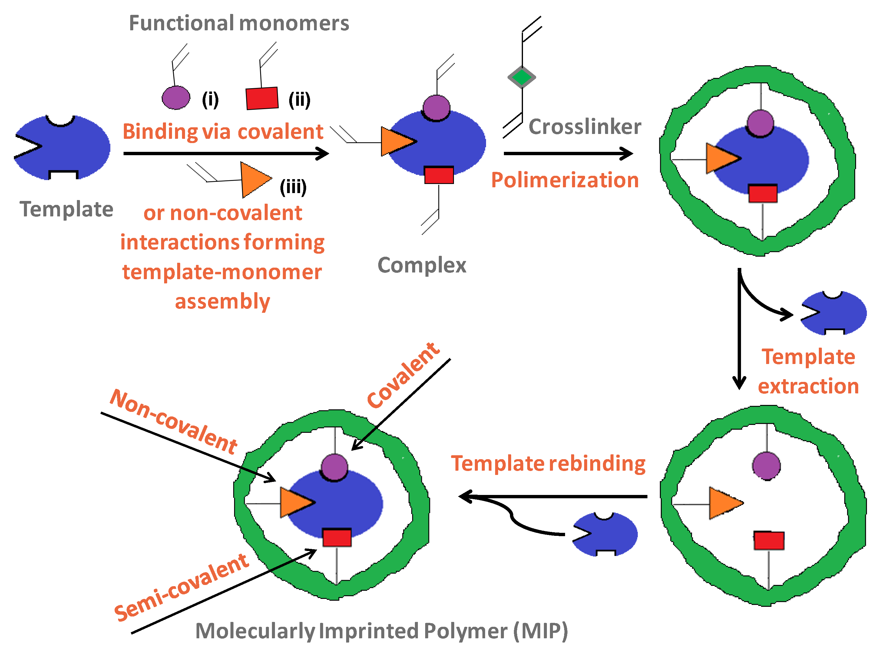 Polymers 16 02699 g001