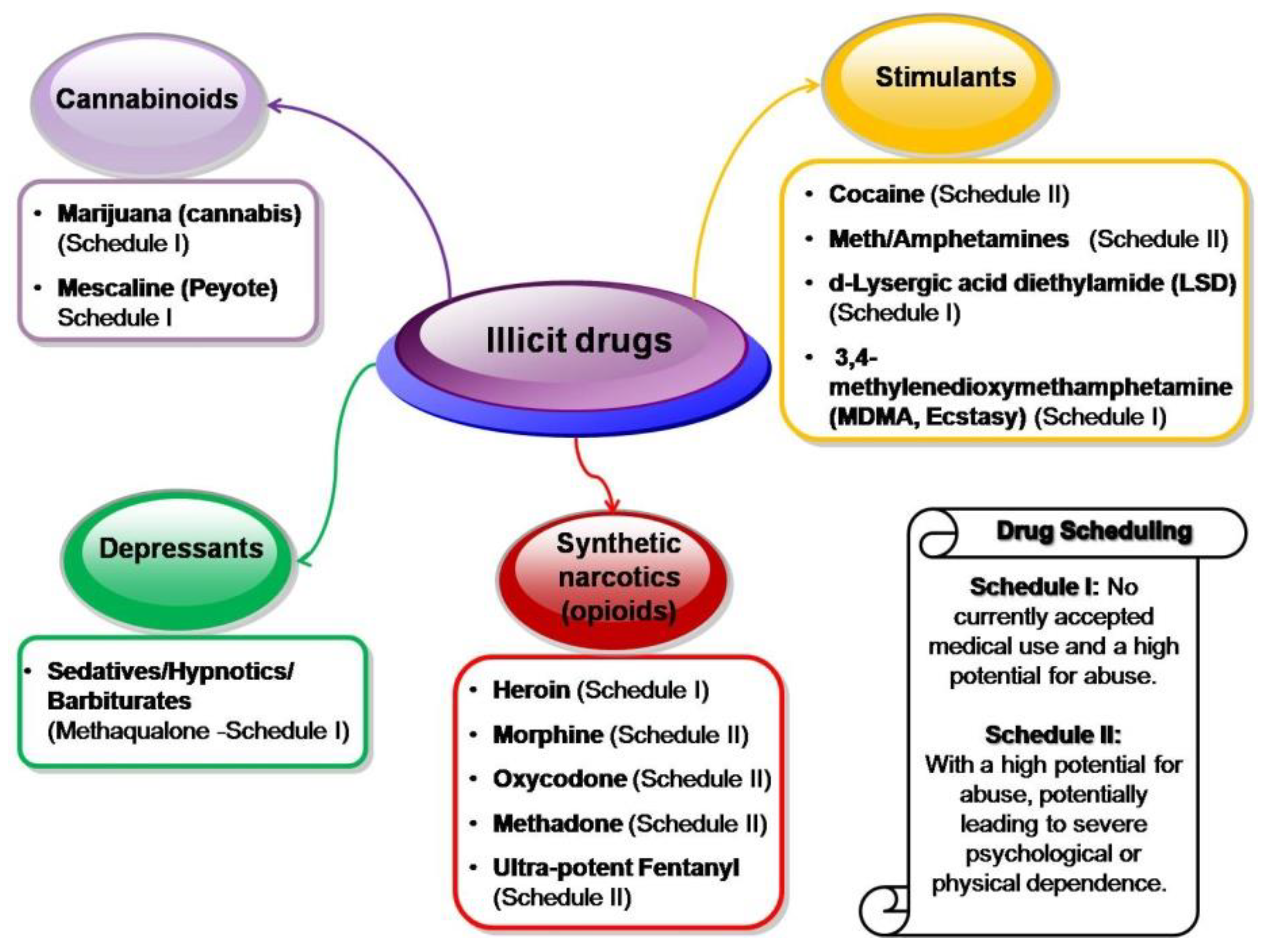 Polymers 16 02699 g005