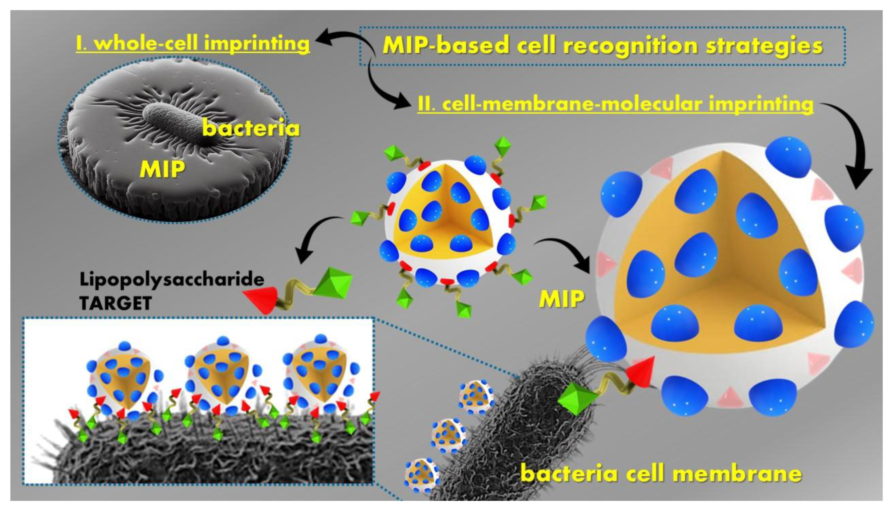 Polymers 16 02699 g006