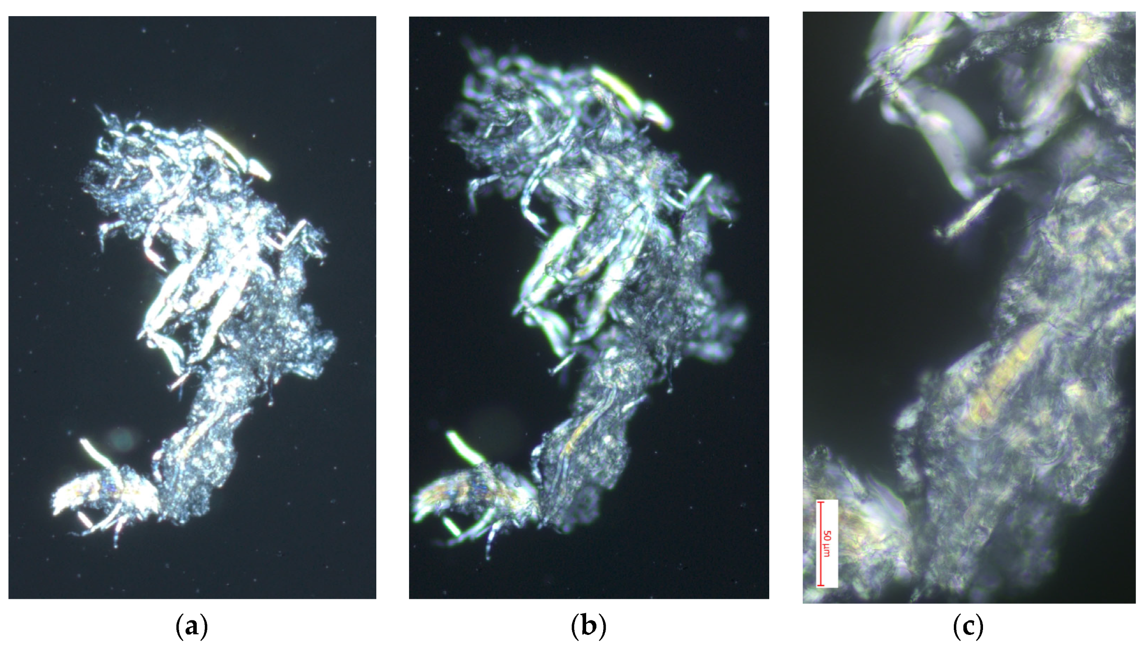 Polymers 16 02713 g006