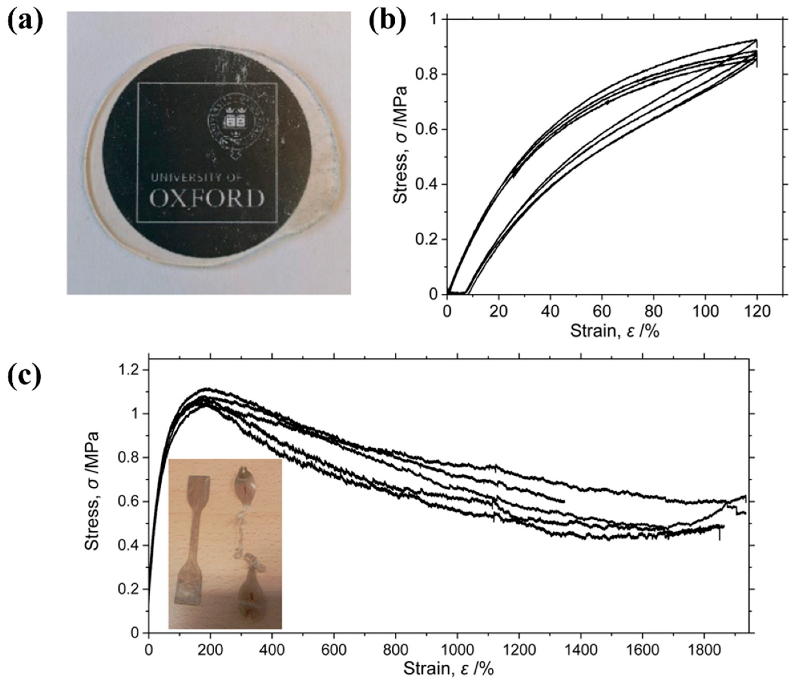 Polymers 16 02717 g007