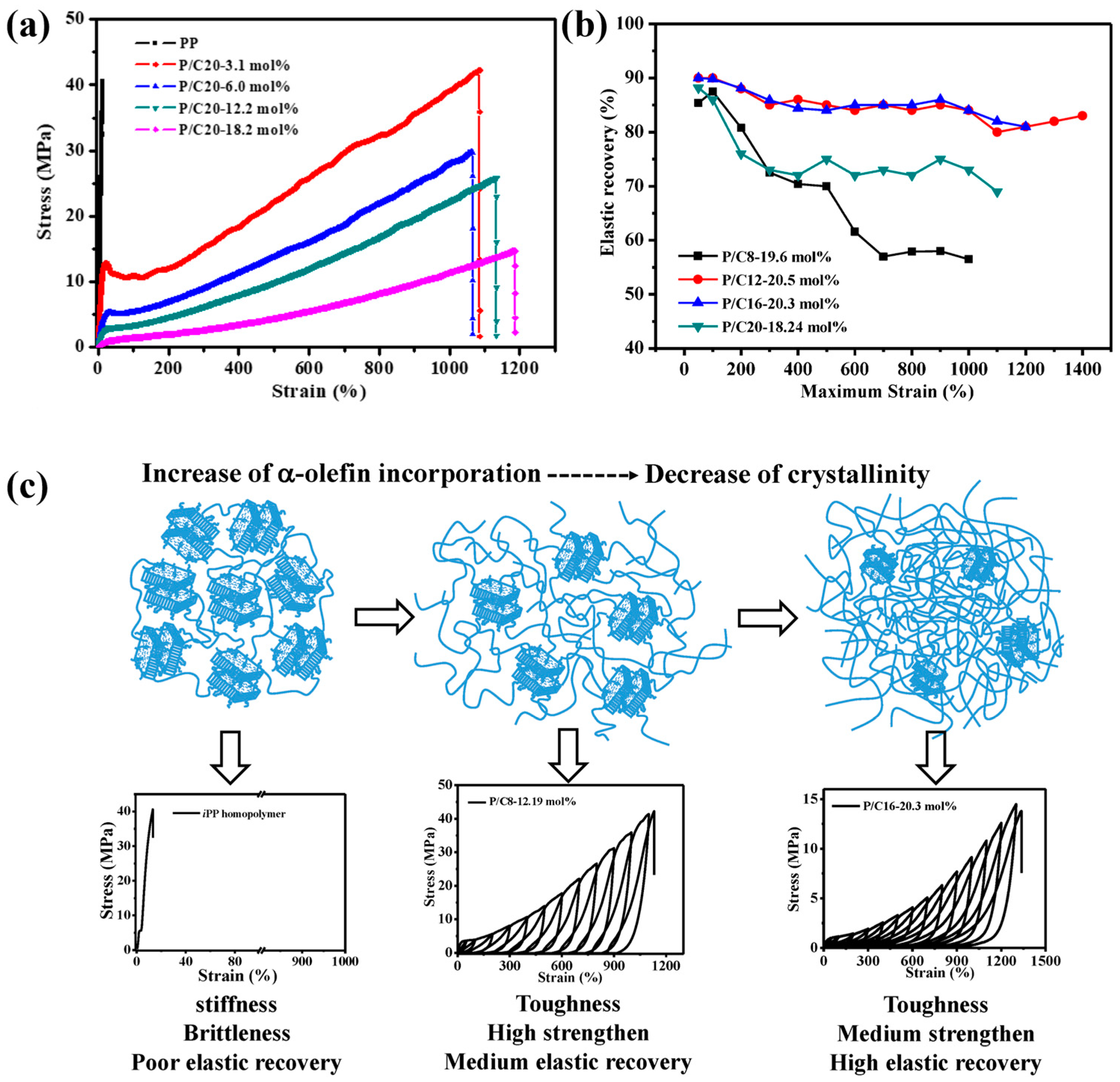 Polymers 16 02717 g013